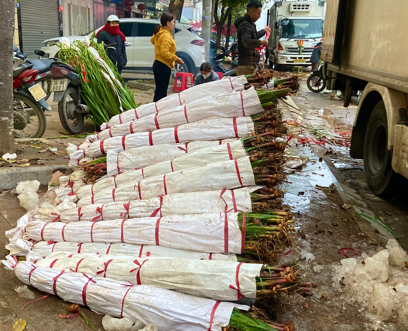 Những xe hoa dơn đông lạnh chủ yếu được vận chuyển nguyên cây từ Đà Lạt về. Chỉ tính riêng trước cửa chợ đầu mối đã có khoảng 8 xe dơn đông lạnh cỡ lớn đậu để bán hoa phục vụ cho nhu cầu chơi hoa Tết của người dân.