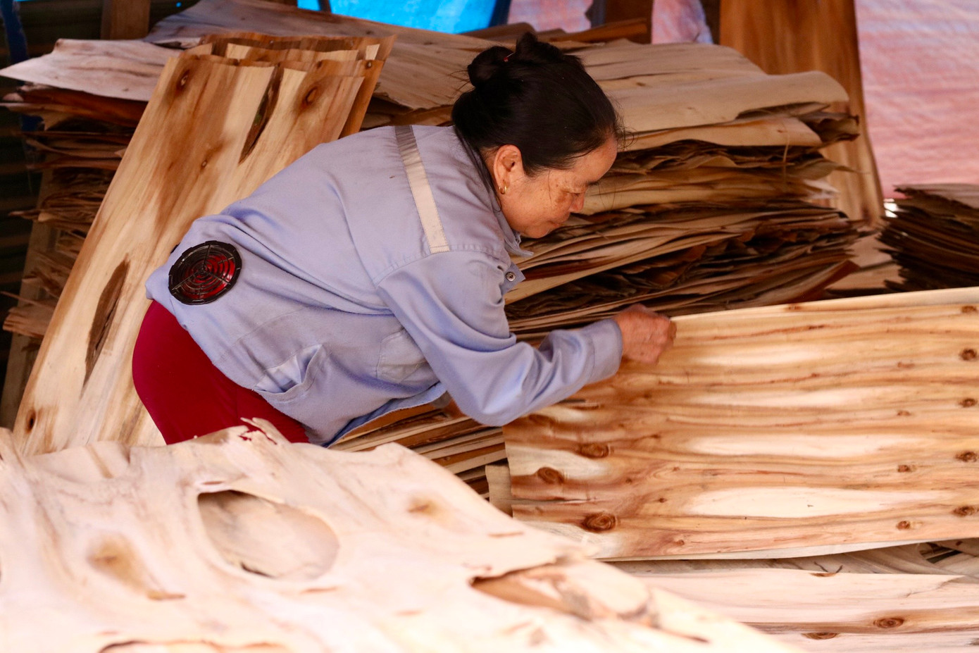 Hiện tại công xưởng của anh Thìn có khoảng 40 công nhân chủ yếu là người dân trong thôn, trong đó có khoảng 20 người làm việc thường xuyên tại xưởng, còn lại là công nhân làm thời vụ. Sản phẩm sản xuất ra chỉ bán chạy trong khoảng 4 tháng/năm nhưng xưởng vẫn phải duy trì việc làm đều đặn để giữ công nhân. "Làm ván rất khó, cần kỹ thuật cao. Người chỉnh máy phải đặt đúng ly như thế nào cho chuẩn thì mới chạy được. Chỉ cần đặt sai một ly là hỏng hết sản phẩm. Dày một tí cũng không được, mỏng một tí cũng không được. Độ dày tiêu chuẩn tại xưởng chỉ có 2 loại là loại ly 6 và ly 9". Hiện tại công xưởng của anh Thìn có khoảng 40 công nhân chủ yếu là người dân trong thôn, trong đó có khoảng 20 người làm việc thường xuyên tại xưởng, còn lại là công nhân làm thời vụ. Sản phẩm sản xuất ra chỉ bán chạy trong khoảng 4 tháng/năm nhưng xưởng vẫn phải duy trì việc làm đều đặn để giữ công nhân. "Làm ván rất khó, cần kỹ thuật cao. Người chỉnh máy phải đặt đúng ly như thế nào cho chuẩn thì mới chạy được. Chỉ cần đặt sai một ly là hỏng hết sản phẩm. Dày một tí cũng không được, mỏng một tí cũng không được. Độ dày tiêu chuẩn tại xưởng chỉ có 2 loại là loại ly 6 và ly 9".