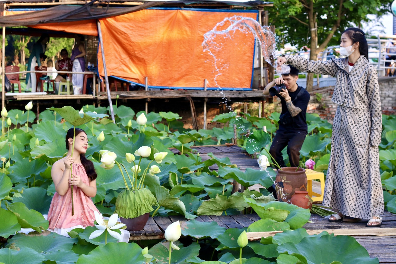 Dịch vụ chụp ảnh cũng được dịp nhộn nhịp hơn. Anh Đào Văn Mạnh hiện đang làm chụp ảnh cho một studio ở Thái Thịnh cho biết: "Thời điểm hiện tại mới vào đầu mùa sen nên nếu ai có nhu cầu chụp ảnh sẽ đặt lịch qua trang của chúng tôi trước. Hiện tại chúng tôi có nhiều gói chụp khác nhau, dao động từ khoảng 700.000 -1.500.000 đồng/người đã bao gồm cả trang điểm, làm tóc và trang phục".