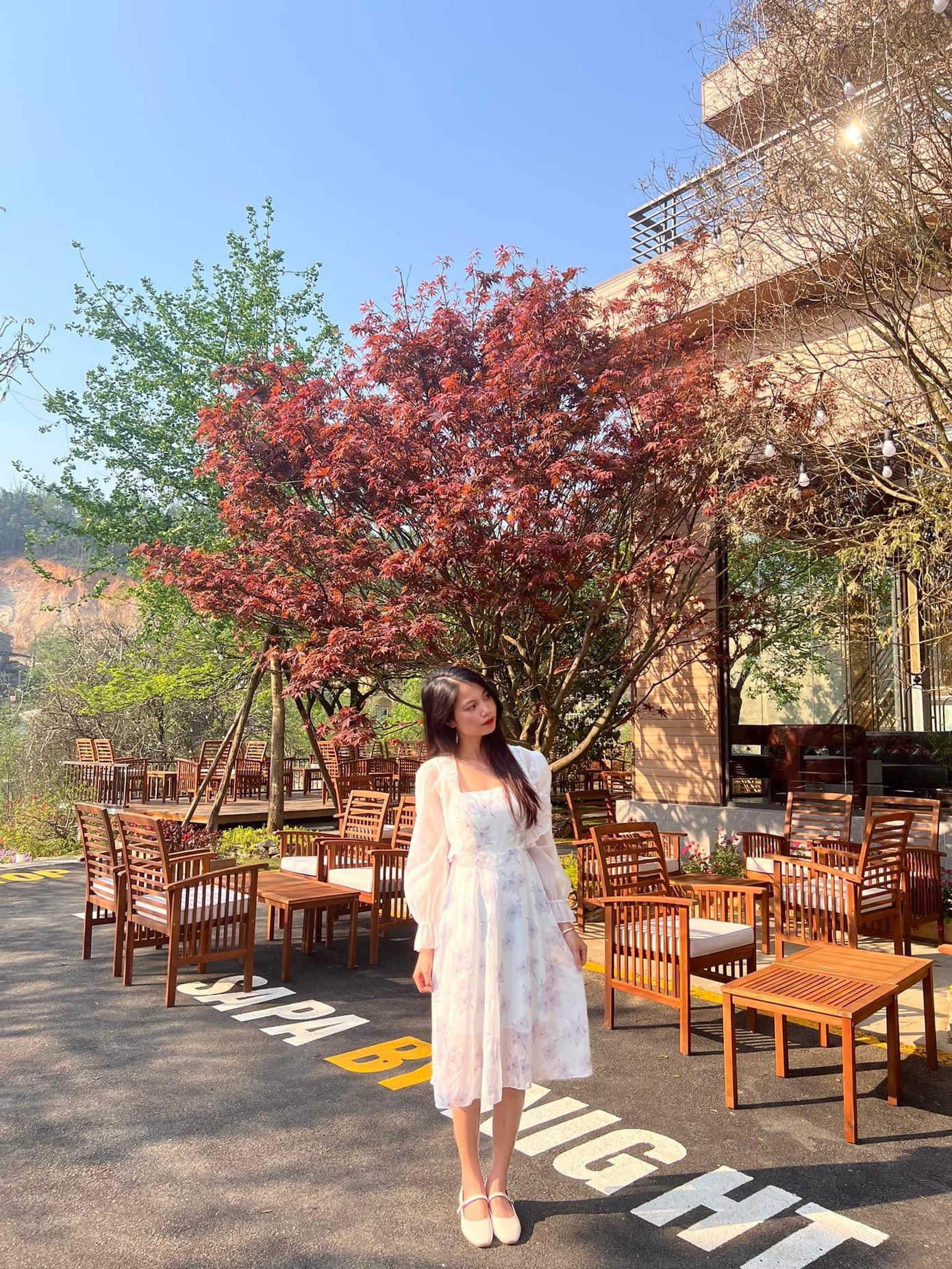 Chủ quán cà phê chia sẻ, trước khi quyết định đem những cây phong về trồng, đã mời chuyên gia người Nhật về để nghiên cứu thổ nhưỡng ở Sa Pa.