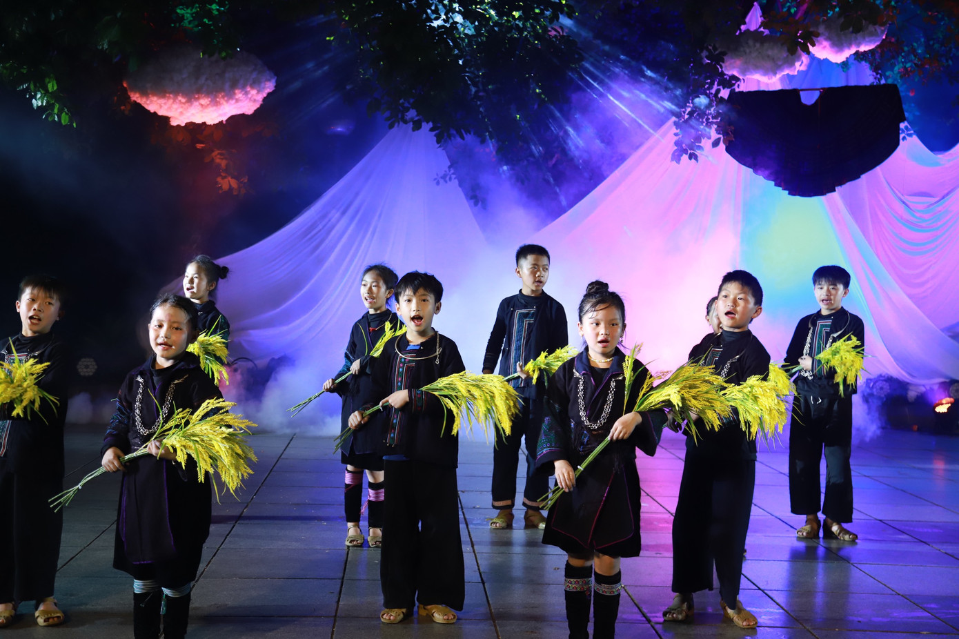 Điểm nhấn trong lễ khai mạc "Ngày hội văn hóa, du lịch Sa Pa tại Hà Nội” là chương trình nghệ thuật "Bốn phương trời - Việt Nam ơi" do nhóm thiếu nhi dân tộc Mông trình diễn; chương trình nghệ thuật "Vũ điệu dưới trăng" và hoạt động tái hiện không gian chợ phiên, chợ tình Sa Pa. Bên cạnh đó, ngày hội còn diễn ra các tiết mục nghệ thuật dân ca, dân vũ mang dấu ấn văn hóa truyền thống của 5 dân tộc thiểu số của Sa Pa: H'Mông, Dao Đỏ, Tày, Giáy, Xa Phó.