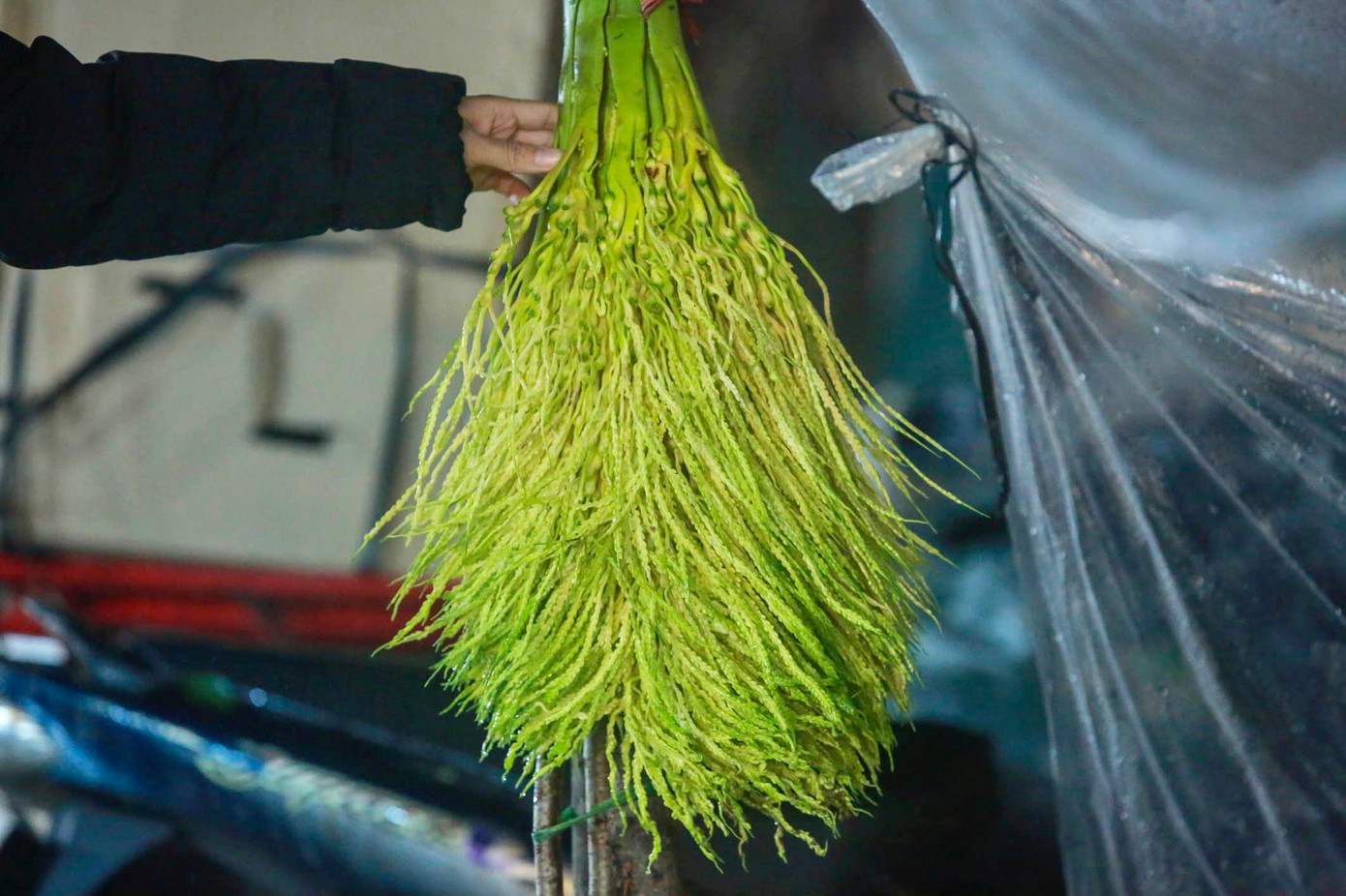 Hoa cau giá gần 200.000 bó vẫn hút khách. Thay vì mua hoa hồng, hoa cúc... nhiều người mua hoa cau về để cúng rằm.