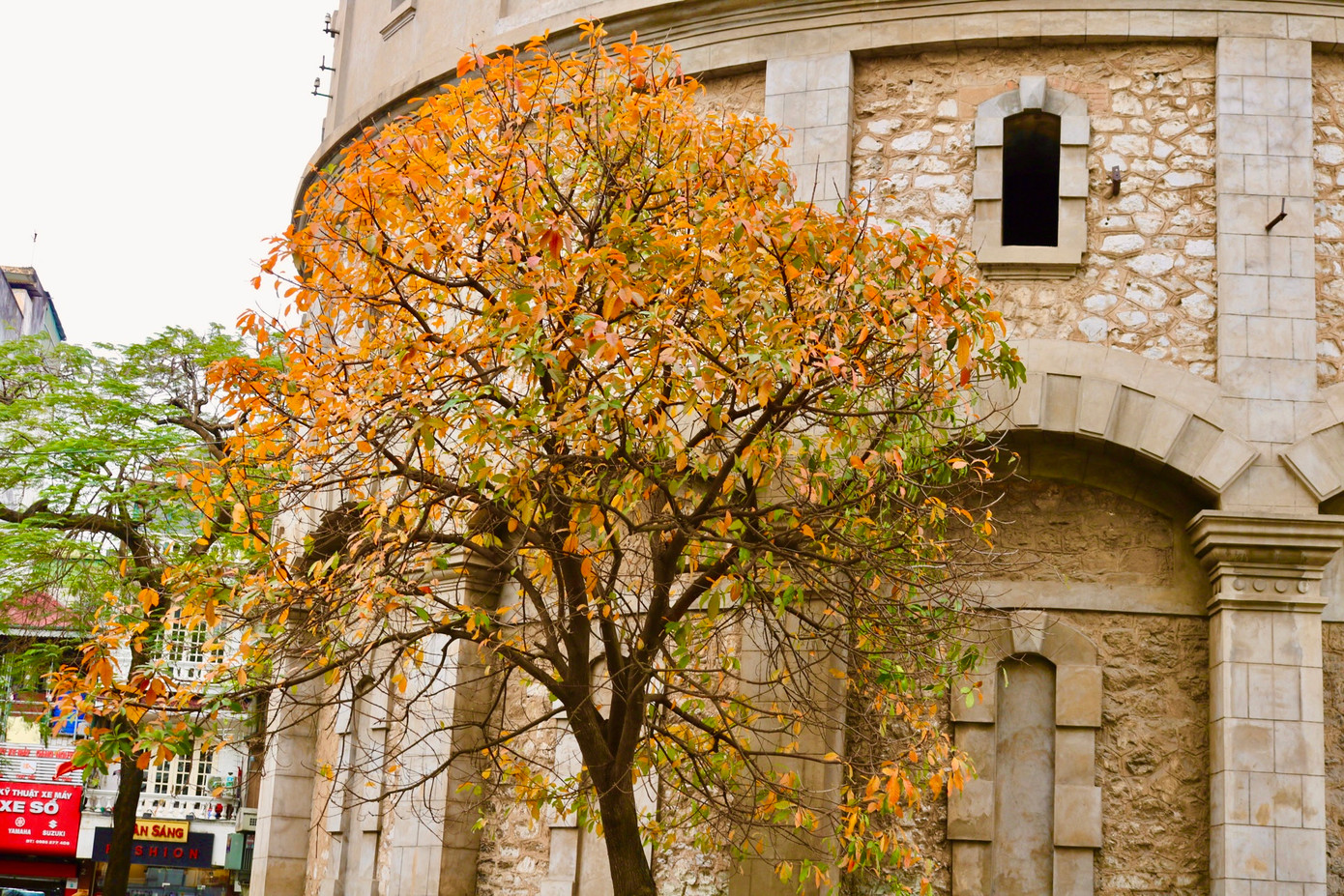 Cây lộc vừng thay lá cạnh bốt Hàng Đậu trở nên nổi tiếng từ vài năm trước, là nguồn cảm hứng cho những tay nháy, những bạn trẻ và du khách đến ngắm nhìn. Giới trẻ có thể check in khung cảnh "sống ảo" lý tưởng này bắt đầu từ cuối tháng 2 nhưng đẹp nhất phải khoảng giữa tháng 3 khi tất cả cây lộc vừng ở đây đều chuyển sang sắc vàng, sắc đỏ.