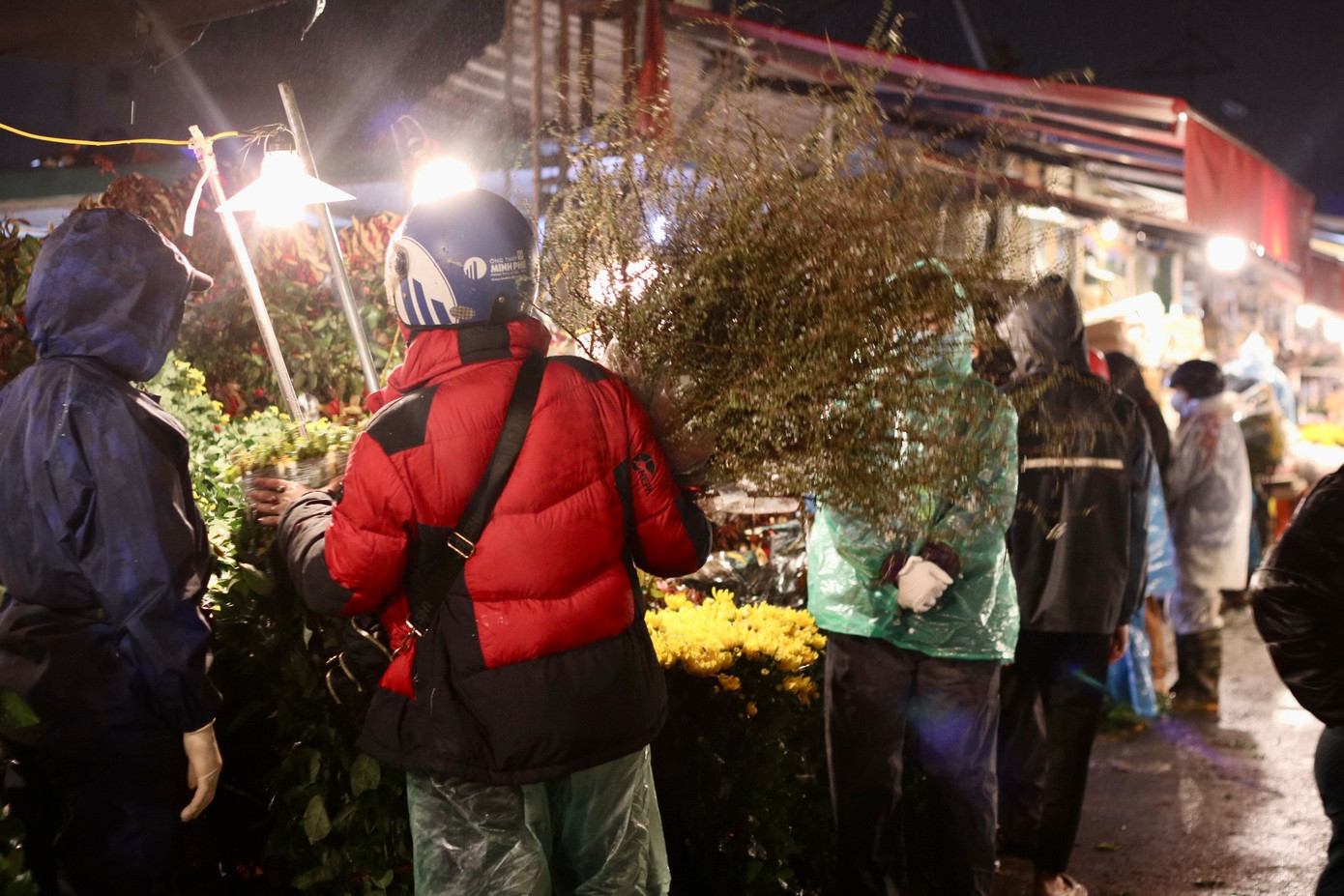 Ngoài ra, các mặt hàng mới như thanh liễu, tuyết mai, phi yến,... cũng rất được ưa chuộng. Không chỉ để cúng, nhiều người cũng thích mua hoa về chơi sau Tết.