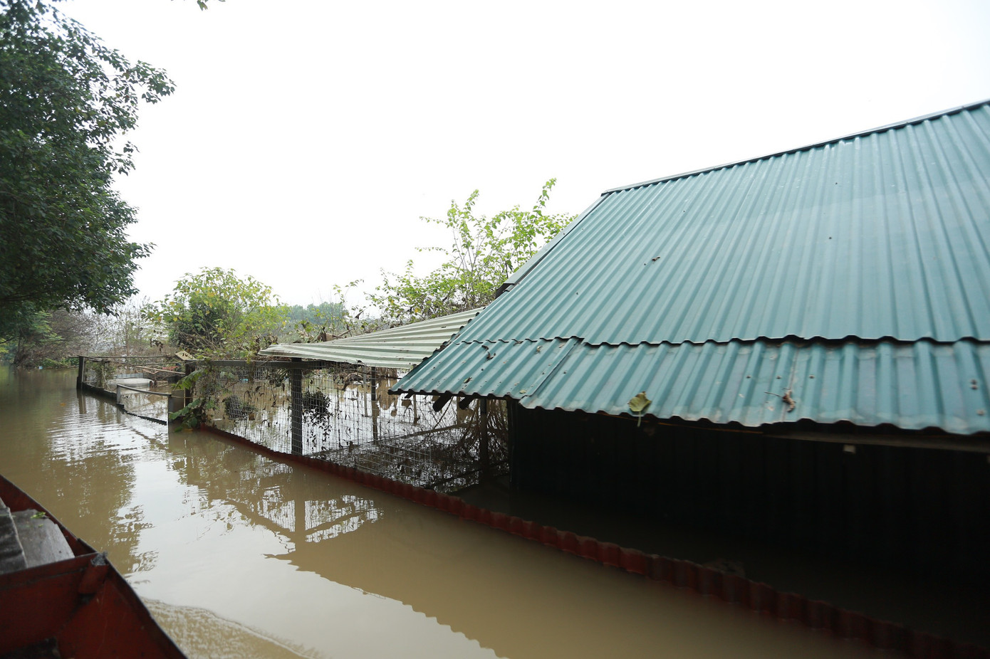 Tại khu vực ngõ An Dương, nhiều nhà ven sông bị ngập lên cả nóc.