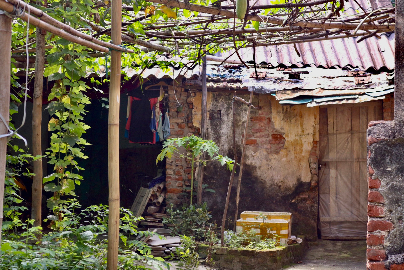 Những ngồi nhà tồn tại hơn 4 thập kỷ đã xập xệ và xuống cấp nghiêm trọng, không còn nhìn ra được hình dáng ban đầu.