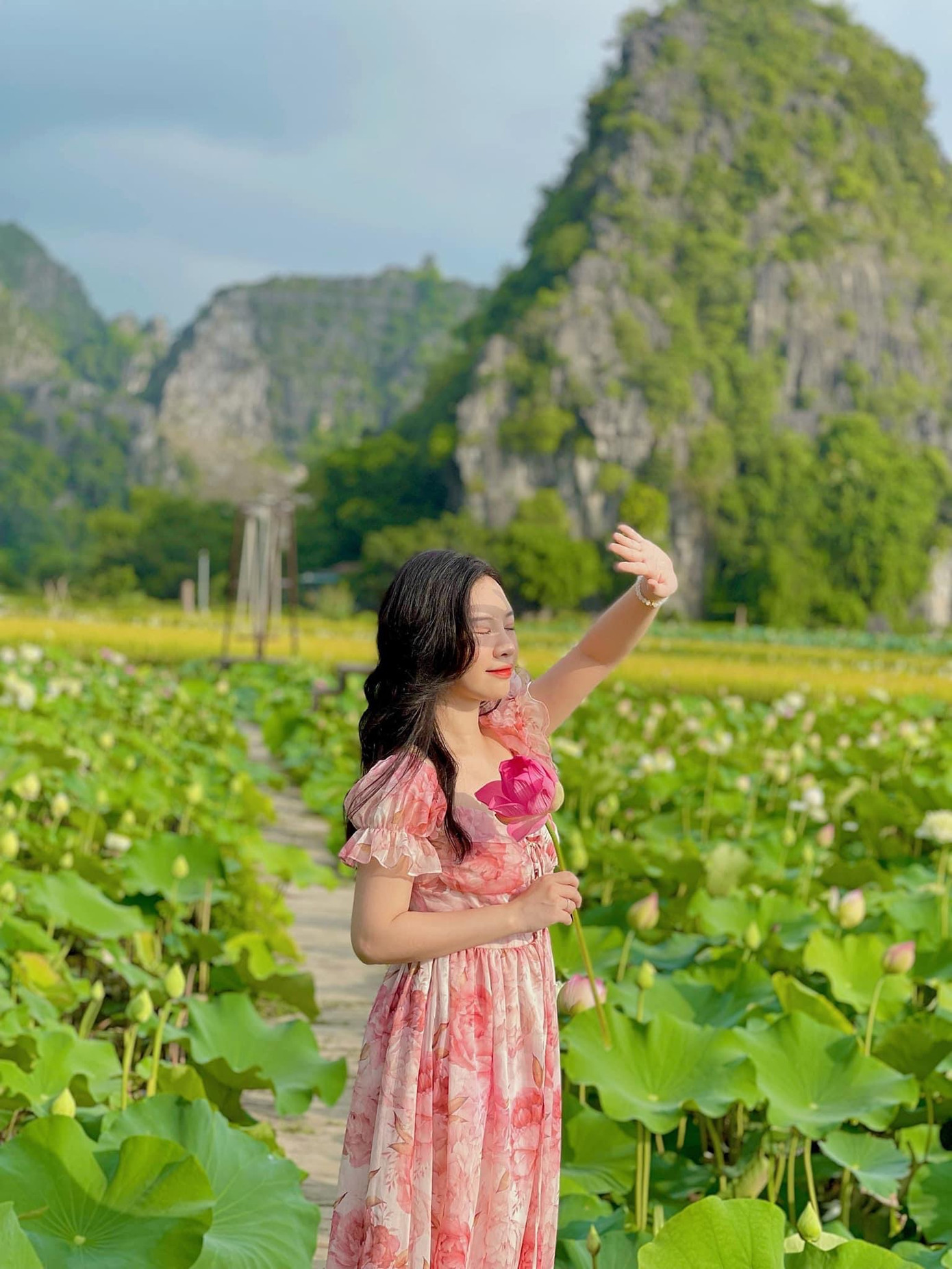 Bên cạnh đó du khách cũng sẽ có cơ hội được ngồi thuyền ngắm sen, thưởng trà. Tại đây, hiện cũng có rất nhiều homestay xinh xắn, view cực xịn cho những người muốn nghỉ ngơi và ngủ lại qua đêm.