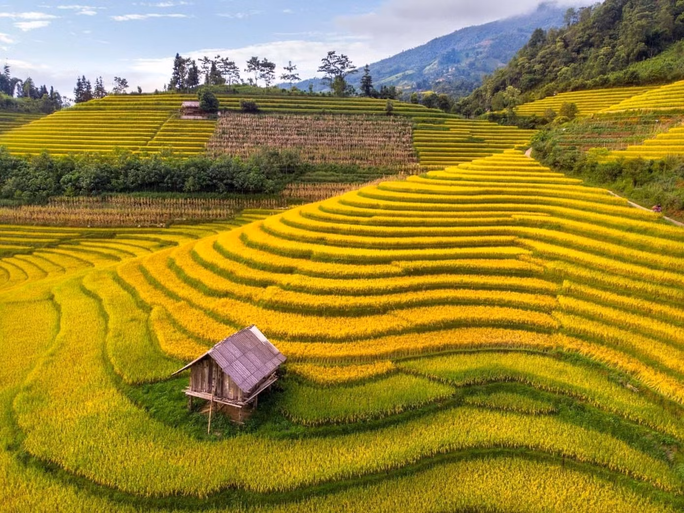 Nậm Cang là bản cuối cùng ở phía Đông Nam của thị xã Sa Pa. Nằm cách thị xã Sa Pa khoảng hơn 30 km, Nậm Cang chưa phát triển du lịch, không nhiều người biết tới nên khung cảnh vẫn còn hoang sơ. Khách đến đây đa phần là khách nội địa và đi tự túc.