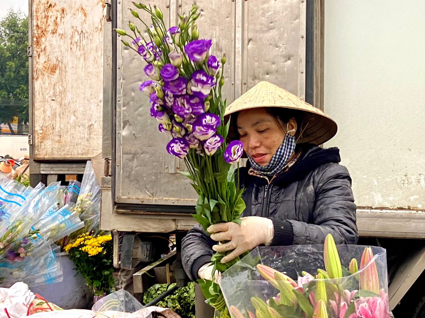 Loài hoa cát tường có vẻ đẹp mong manh có nhiều màu sắc như tím, hồng, vàng, cam... sau khi nở có thể tươi khoảng 2-3 tuần mới tàn và có giá trị thẩm mỹ cao nên được nhiều người chọn mua vào dịp Tết Nguyên đán.