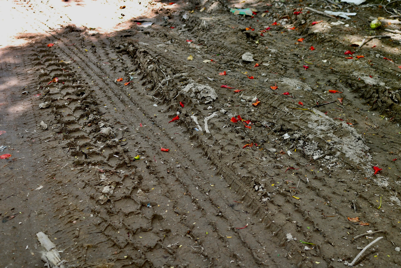 Mặt đường bị xe chạy qua cày xới, lún lầy sau những ngày mưa lớn. Một người dân sống gần đây chia sẻ: "Con đường này bình thường rất khó đi, những ổ voi ổ gà mới đọng nước lại di chuyển khó khăn hơn rất nhiều lần, ai không vững tay lái đi vào có thể bị trượt ngã, nhất là vào những hôm trời mưa".