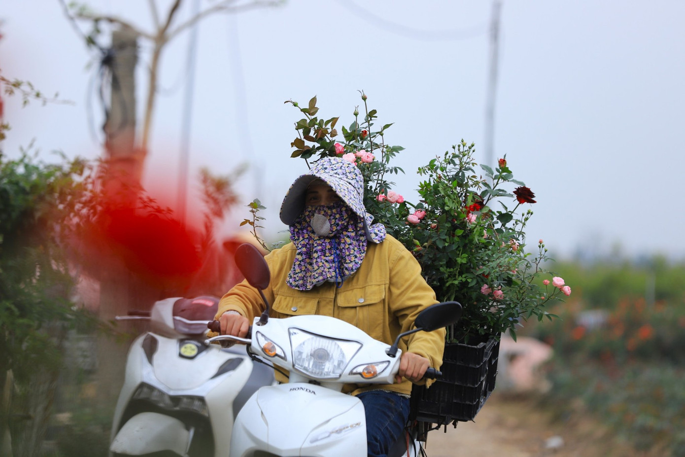 Những xe chở hoa hối hả ngược xuôi để đưa hoa đến tay người tiêu dùng.