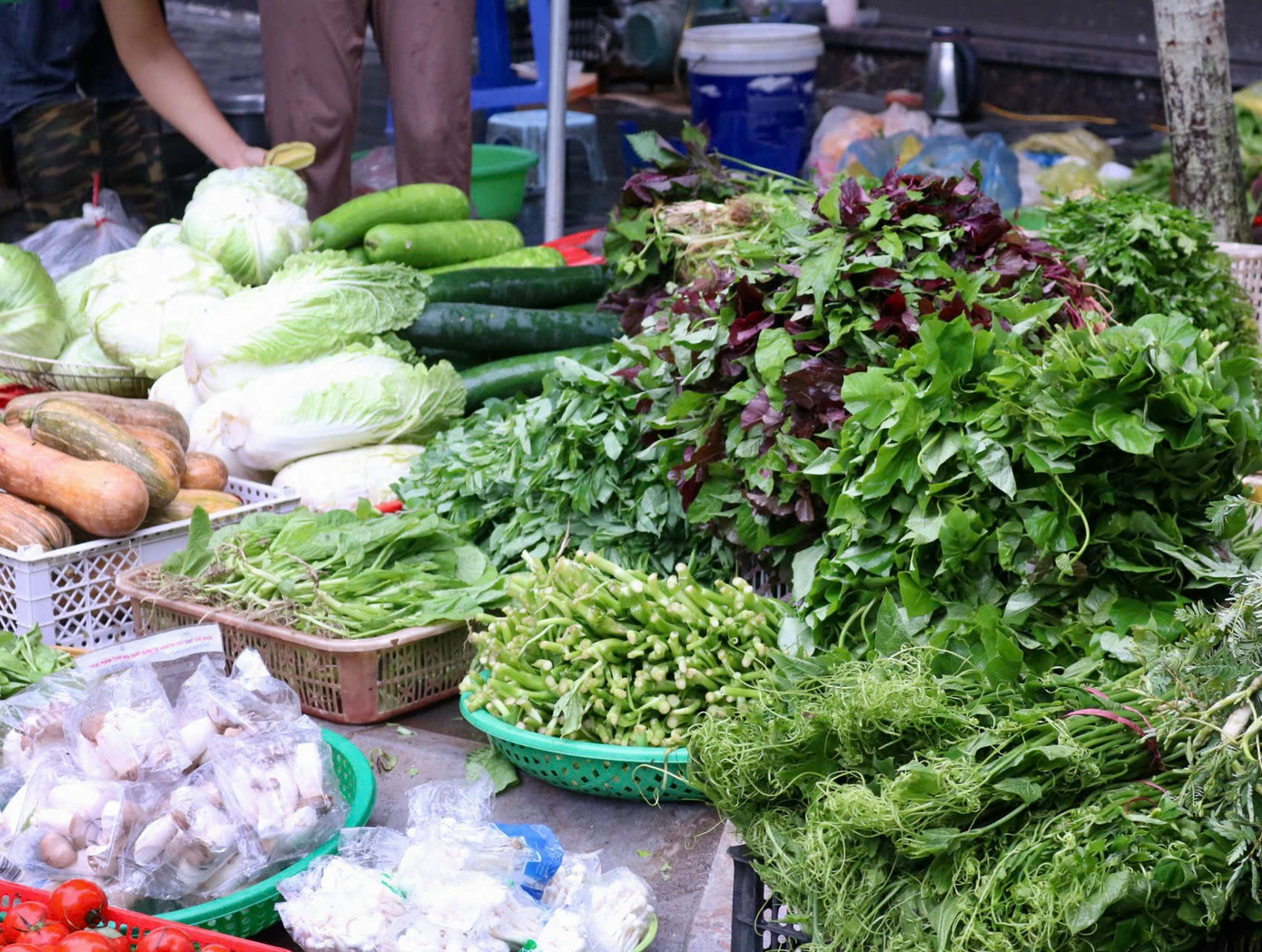 Giá rau xanh tại các chợ tăng từ 1,5 - 2 lần so với ngày thường. Trong đó, rau muống 15.000 đồng/bó, ngải cứu 12.000 đồng/bó, cà chua 45.000 đồng/kg, rau cải 30.000 - 35.000 đồng.kg, xà lách 40.000 - 45.000 đồng/kg, rau mùi 8.000 đồng/bó nhỏ,... Như vậy, trung bình rau xanh tăng từ 5.000 - 10.000 đồng so với ngày thường. Giá rau xanh tại các chợ tăng từ 1,5 - 2 lần so với ngày thường. Trong đó, rau muống 15.000 đồng/bó, ngải cứu 12.000 đồng/bó, cà chua 45.000 đồng/kg, rau cải 30.000 - 35.000 đồng.kg, xà lách 40.000 - 45.000 đồng/kg, rau mùi 8.000 đồng/bó nhỏ,... Như vậy, trung bình rau xanh tăng từ 5.000 - 10.000 đồng so với ngày thường.