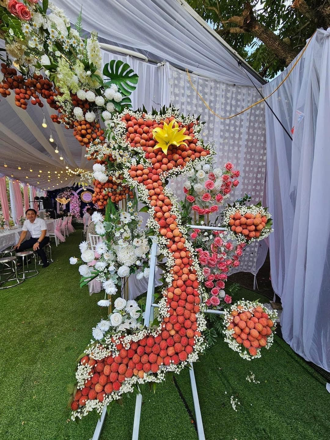 Mô hình bản đồ Việt Nam được kết bằng vải thiều Lục Ngạn