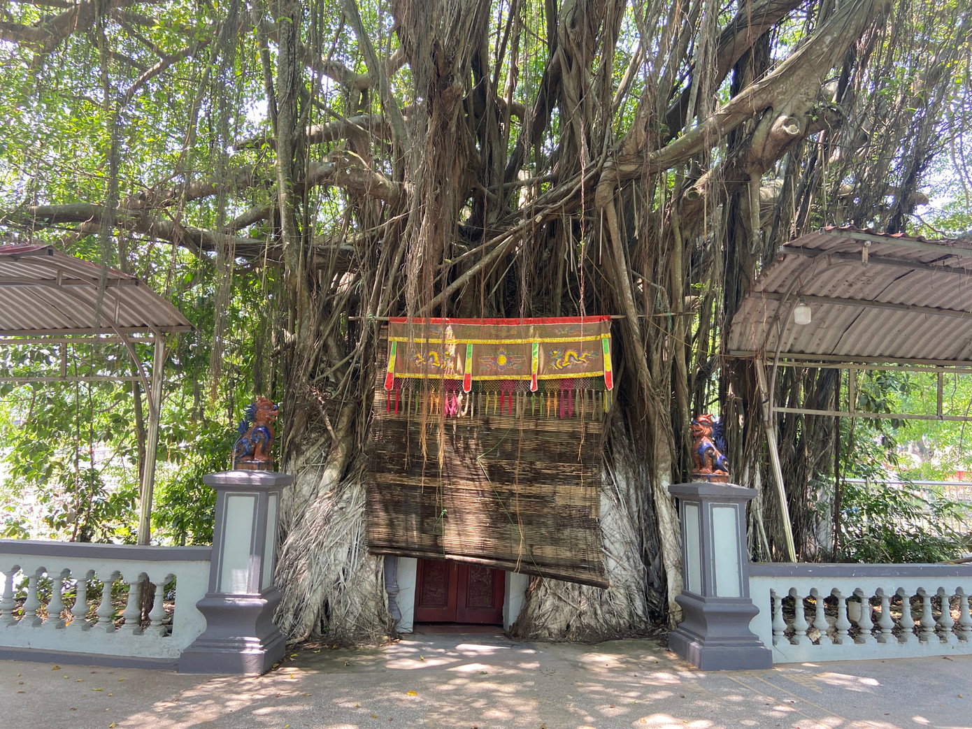 Miếu Hạ Mã nằm lọt thỏm trong gốc sanh cổ thụ, ngày lối vào cổng đình, đền Chóa. Ảnh: Lâm Thùy Dương. Miếu Hạ Mã nằm lọt thỏm trong gốc sanh cổ thụ, ngày lối vào cổng đình, đền Chóa. Ảnh: Lâm Thùy Dương.