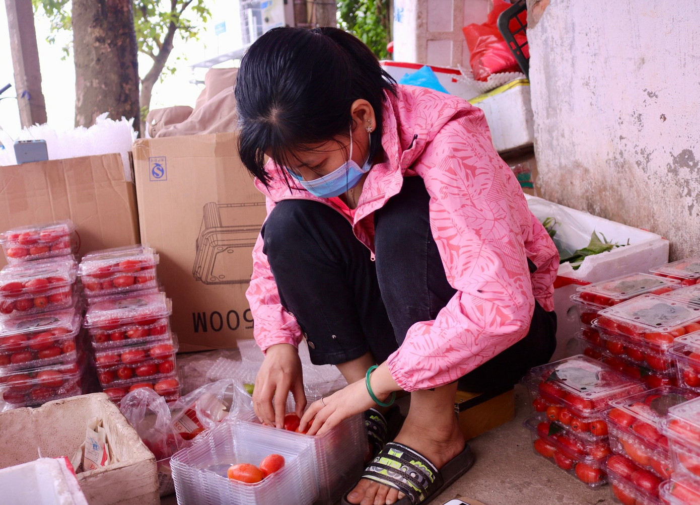 Những quả nhót chín sau khi thu mua lại từ người dân sẽ được gia đình chị Lan đóng vào hộp với trọng lượng khoảng 500g và được ngăn nhau bằng những lớp chống xóc. Những quả nhót chín sau khi thu mua lại từ người dân sẽ được gia đình chị Lan đóng vào hộp với trọng lượng khoảng 500g và được ngăn nhau bằng những lớp chống xóc.