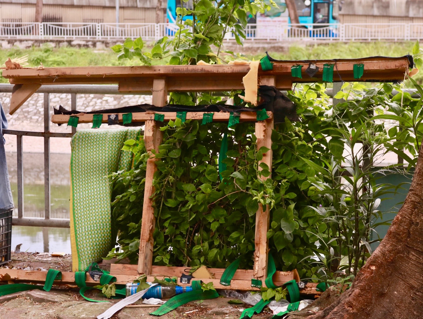 Trước đó, lãnh đạo phường Quan Hoa chia sẻ, theo phương án cứ khoảng 3 m sẽ trồng một cây hoa giấy cao trung bình 1,3 m. Sau khi hoàn thành việc trồng cây, UBND phường sẽ giao nhiệm vụ, vận động các tổ chức chính trị xã hội, gia đình, hộ kinh doanh trong khu vực thường xuyên tổ chức chăm sóc để bảo đảm tuyến đường hoa giấy phát triển tốt, sớm hoàn thành mục tiêu tạo cảnh, xanh hóa, giảm thiểu ô nhiễm môi trường dọc bờ sông Tô Lịch.