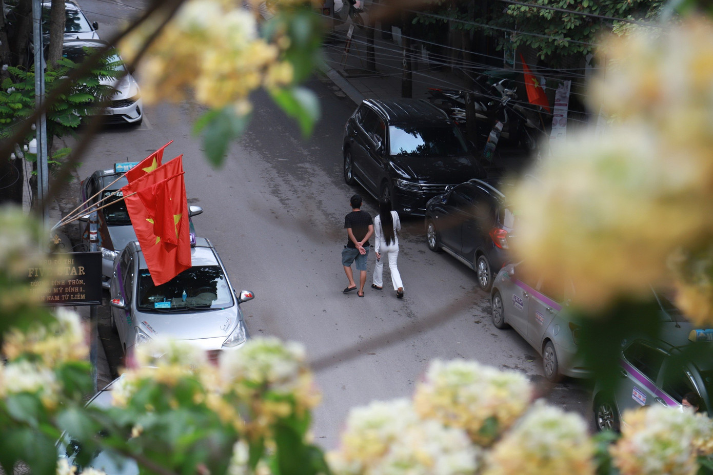 Hoa bún chỉ nở duy nhất một lần trong năm vào mỗi đợt cuối tháng 3 hoặc đầu tháng 4 và sau một tháng, hoa sẽ tàn.