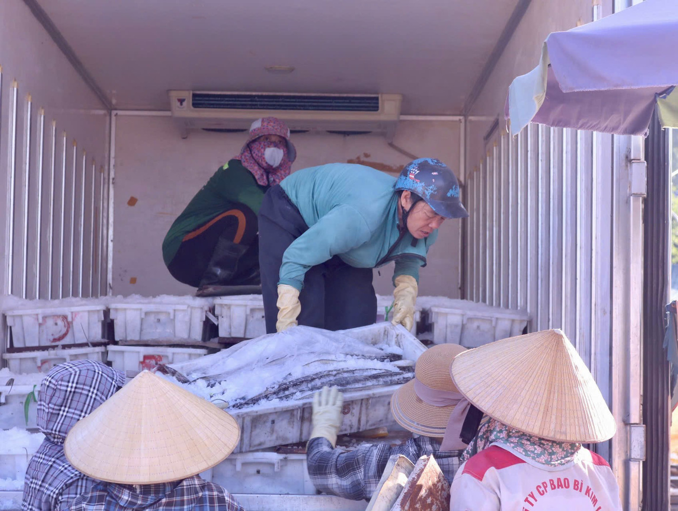 Nhiều xe hàng đông lạnh đến chờ sẵn từ sáng sớm để chờ thuyền cập bến.