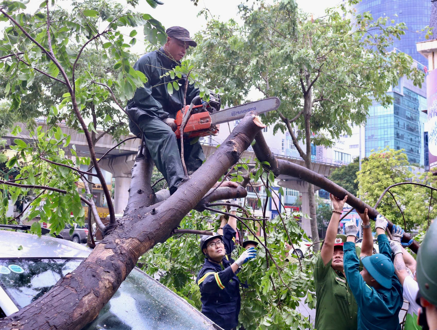 Vì nhân lực có hạn, nên việc dọn dẹp cây gãy đổ tùy theo tuyến đường có sự ưu tiên nhất định. Đối với những con đường huyết mạch, lưu lượng xe đi qua đông, các phường sẽ cử lực lượng dọn dẹp trước và tiến hành dần đối với những con đường khác. Nhiều lực lượng xuống đường phối hợp dọn dẹp như cán bộ phường, thanh niên tình nguyện, công an, nhân viên cây xanh, đô thị, lực lượng phòng cháy chữa cháy... Vì nhân lực có hạn, nên việc dọn dẹp cây gãy đổ tùy theo tuyến đường có sự ưu tiên nhất định. Đối với những con đường huyết mạch, lưu lượng xe đi qua đông, các phường sẽ cử lực lượng dọn dẹp trước và tiến hành dần đối với những con đường khác. Nhiều lực lượng xuống đường phối hợp dọn dẹp như cán bộ phường, thanh niên tình nguyện, công an, nhân viên cây xanh, đô thị, lực lượng phòng cháy chữa cháy...