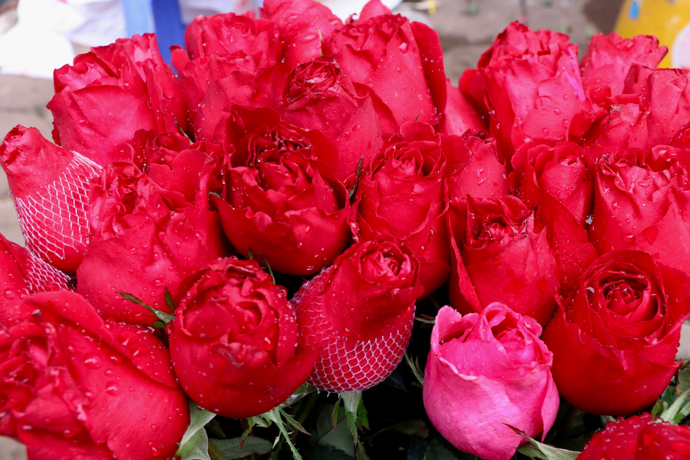 Nhiều đồ cúng rằm nằm trên kệ.