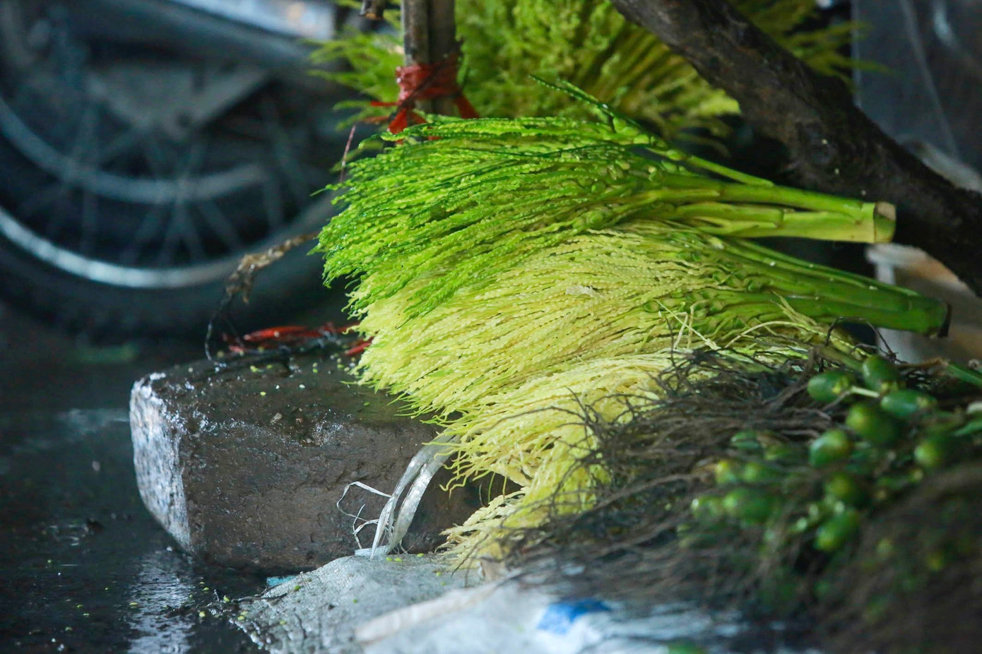 Hoa cau giá gần 200.000 bó vẫn hút khách. Thay vì mua hoa hồng, hoa cúc... nhiều người mua hoa cau về để cúng rằm.