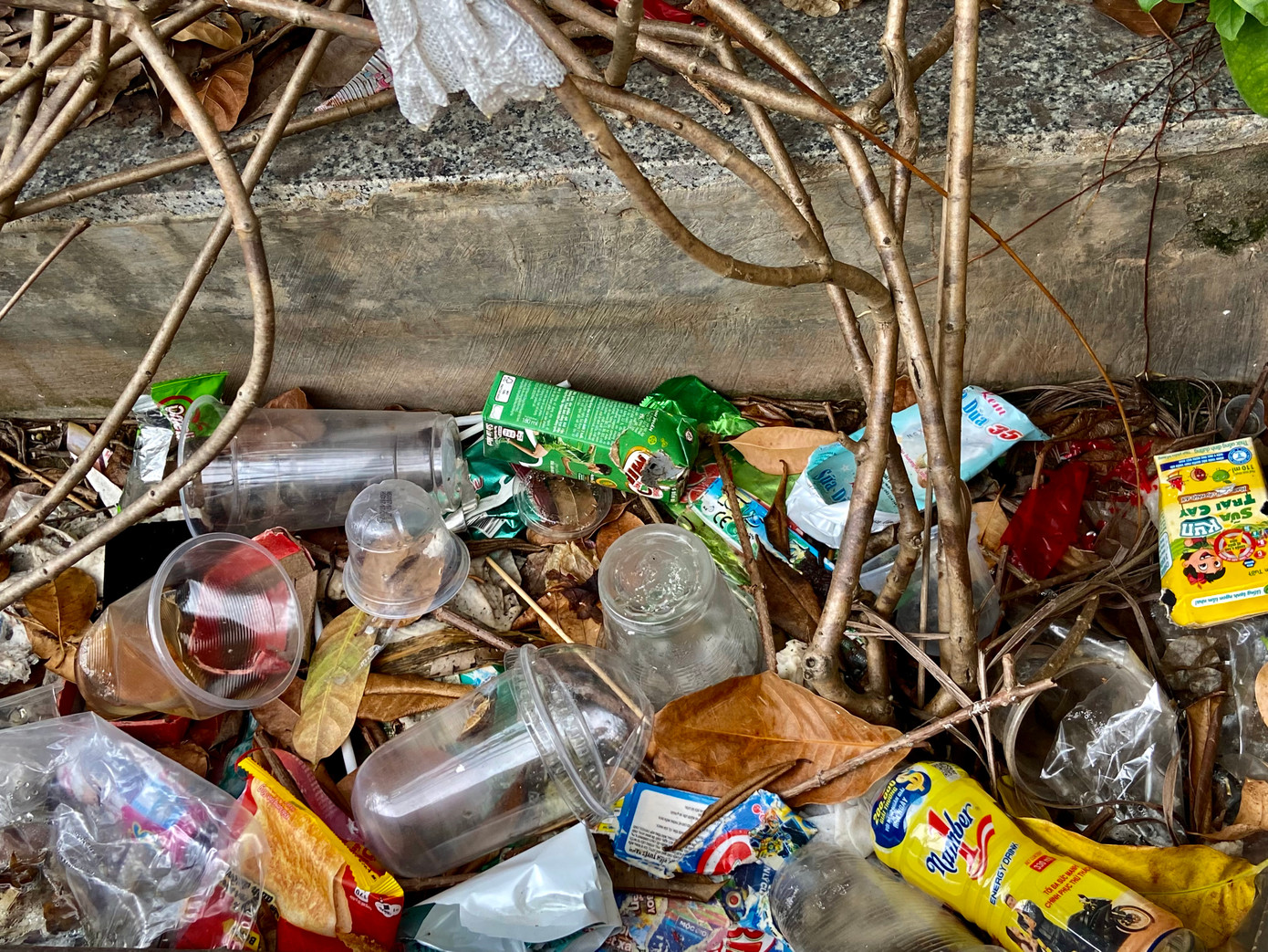 Nhiều bồn cây được "trải thảm" bằng rác. Nhiều bồn cây được "trải thảm" bằng rác.