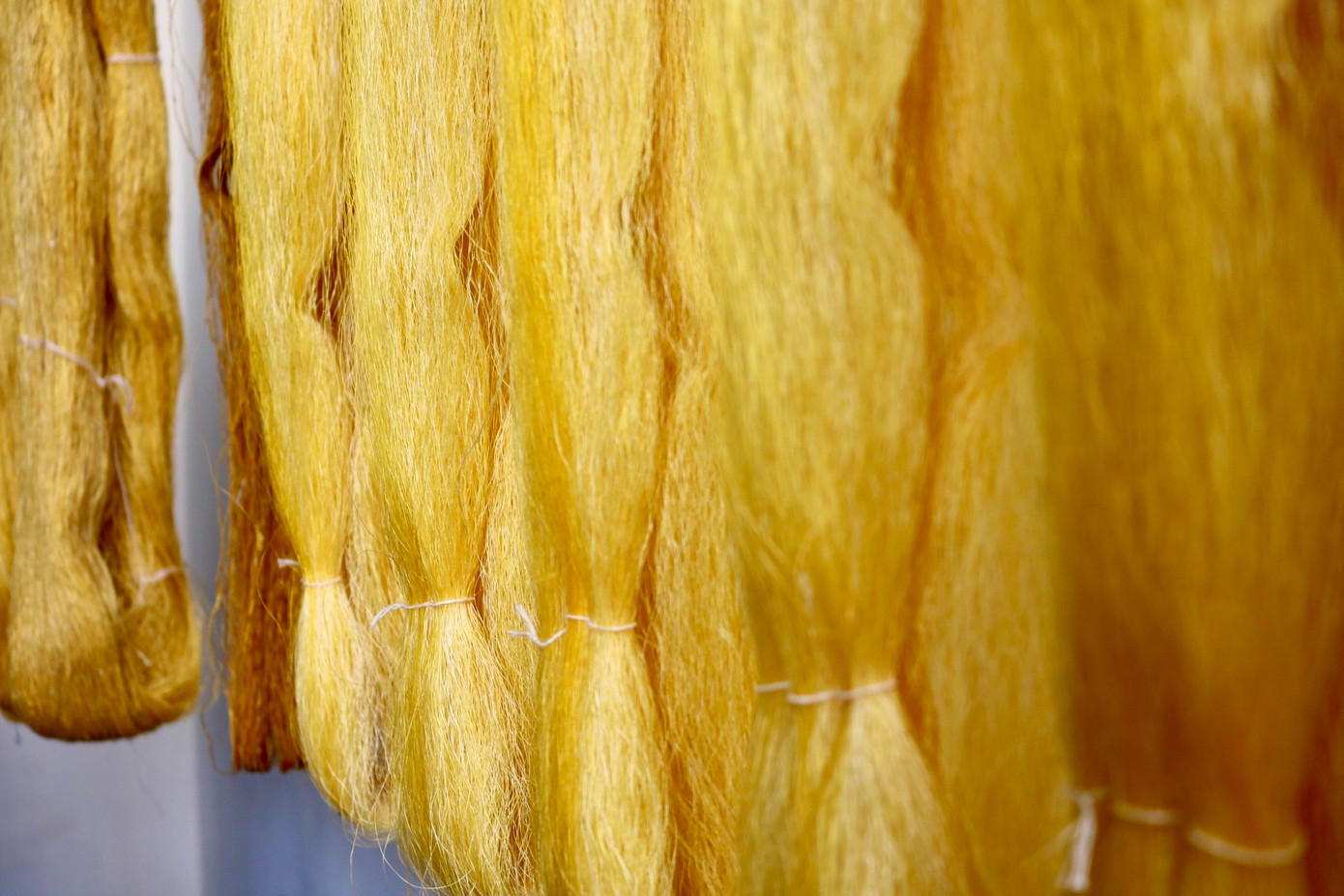 Tơ tằm thường có màu vàng óng trong khi đó tơ sen sẽ có màu trắng đục và chuyển dần qua màu trắng sáng Tơ tằm thường có màu vàng óng trong khi đó tơ sen sẽ có màu trắng đục và chuyển dần qua màu trắng sáng