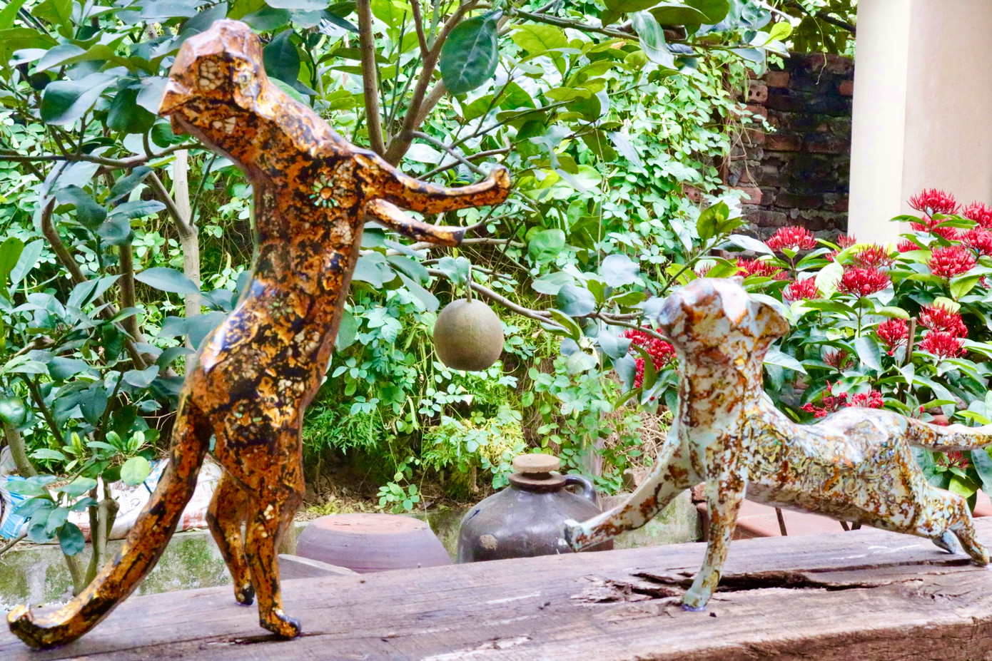 Hình ảnh những chú mèo đùa nghịch quen thuộc trong đời sống hằng ngày