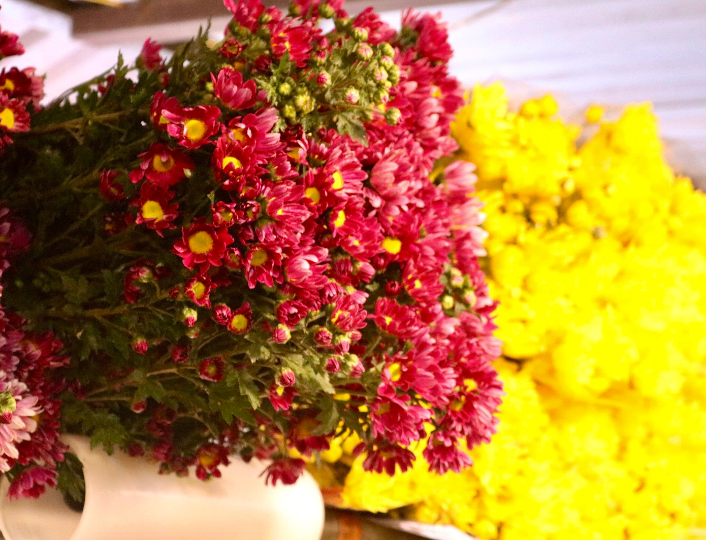 Nhiều loại hoa đẹp được bày bán tại chợ hoa Quảng An để phục vụ nhu cầu thắp hương ngày rằm cũng như chơi hoa sau tết của người dân Thủ đô.