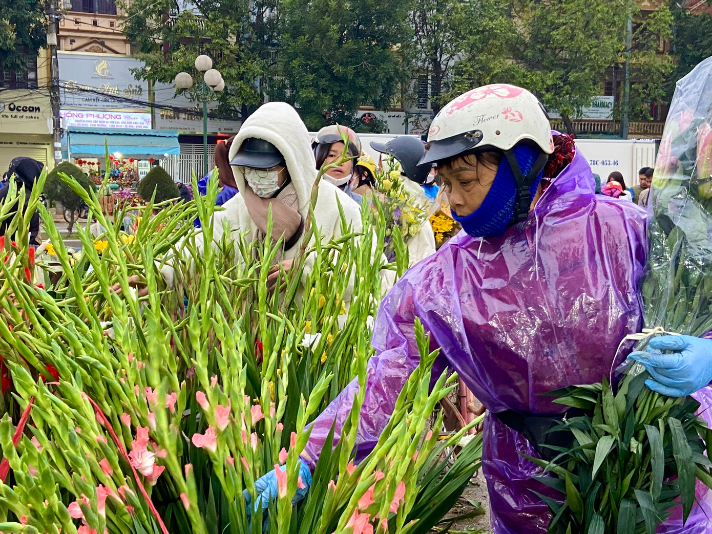 Hoa dơn là loài hoa được nhiều người tìm mua nhất với giá 100.000 đồng/bó (10 cây).