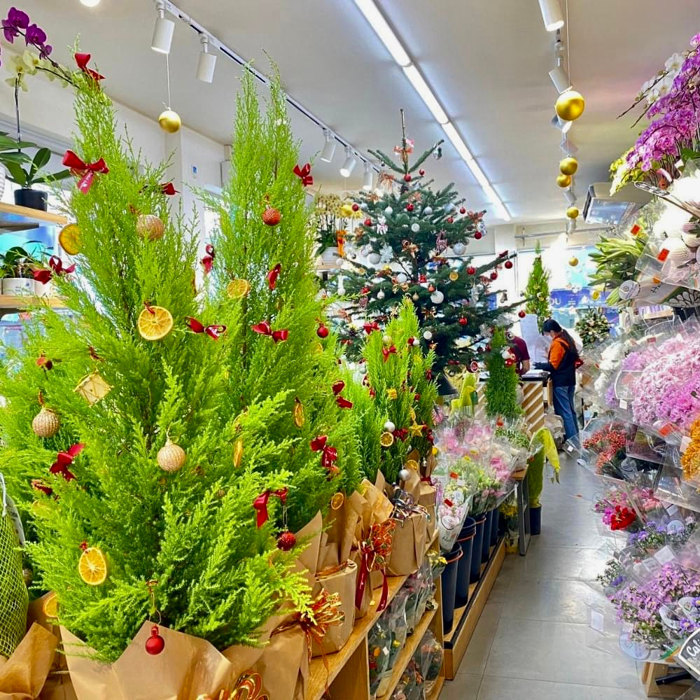 Tùng thơm có hình dáng khá giống thông, giá thành rẻ nên được nhiều cửa hàng mua về bày bán.