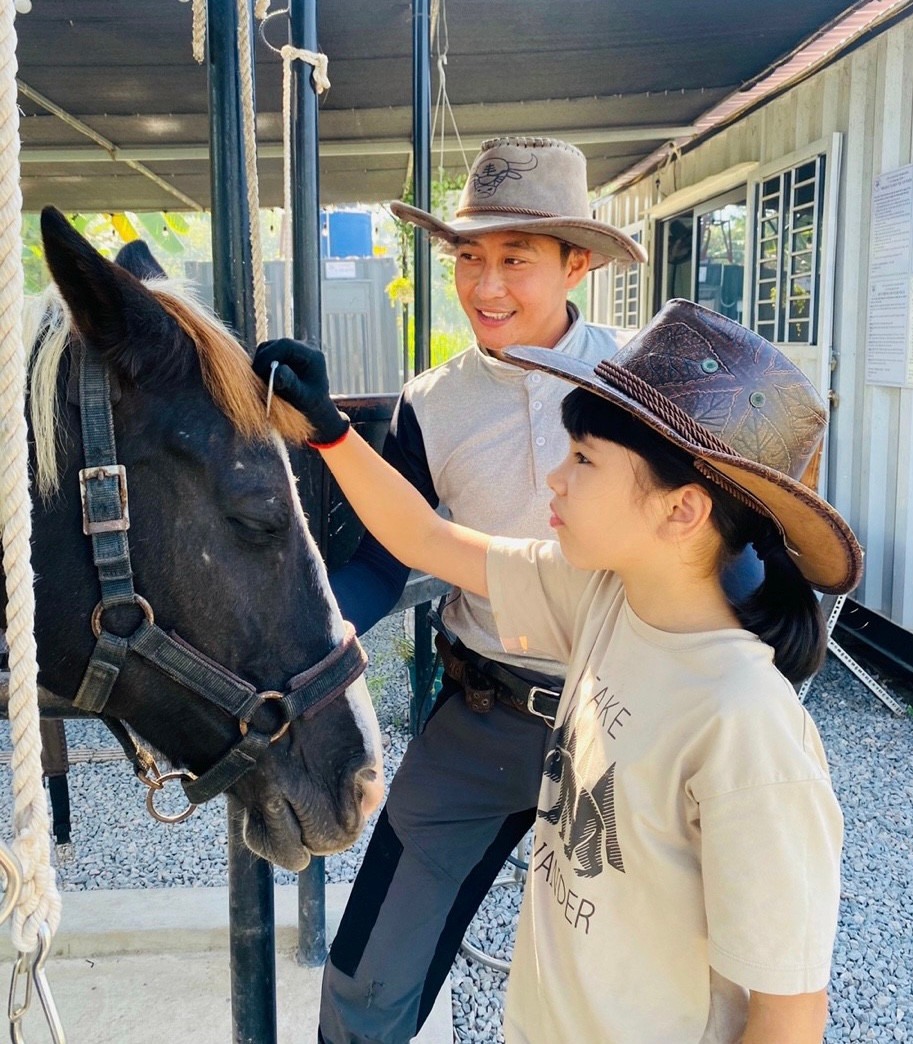 Ngựa cũng cần được "làm đẹp"