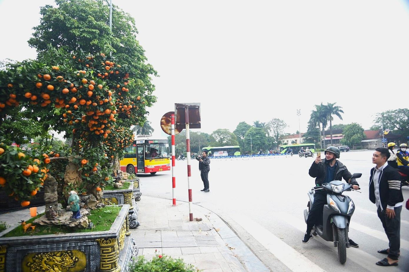 "Khi đưa cây xuống phố, rất nhiều người đến chiêm ngưỡng, tỏ vẻ ngạc nhiên trước sự độc đáo của nó, cũng đã có rất nhiều khách đến hỏi mua nhưng chưa được giá bán mong muốn nên tôi chưa bán", anh Đức Anh cho biết. "Khi đưa cây xuống phố, rất nhiều người đến chiêm ngưỡng, tỏ vẻ ngạc nhiên trước sự độc đáo của nó, cũng đã có rất nhiều khách đến hỏi mua nhưng chưa được giá bán mong muốn nên tôi chưa bán", anh Đức Anh cho biết.