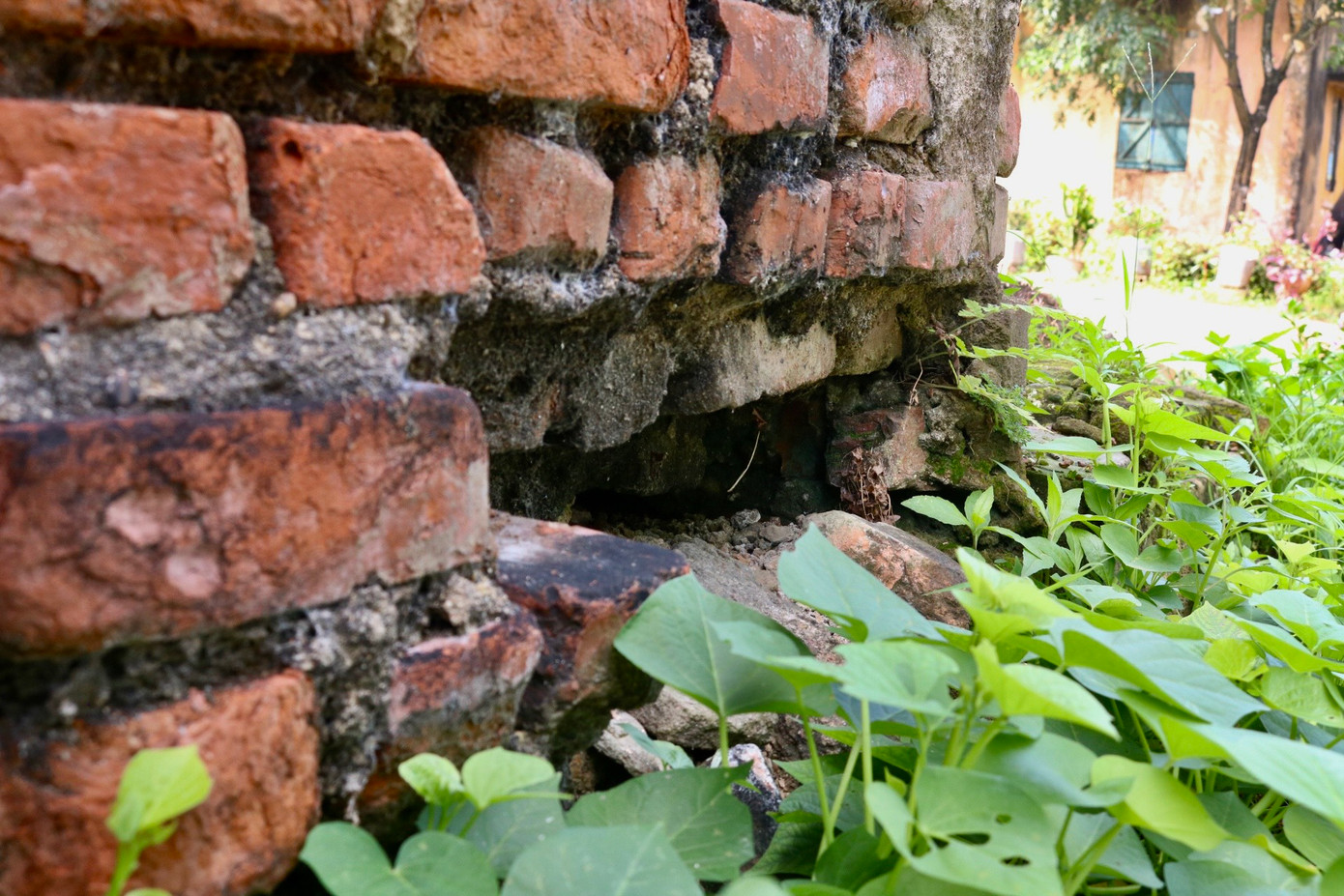 Phần móng của nhiều dãy nhà tại khu tập thể trồi sụt, "hở hàm ếch" kéo theo nỗi lo nhà có thể sập bất cứ lúc nào.