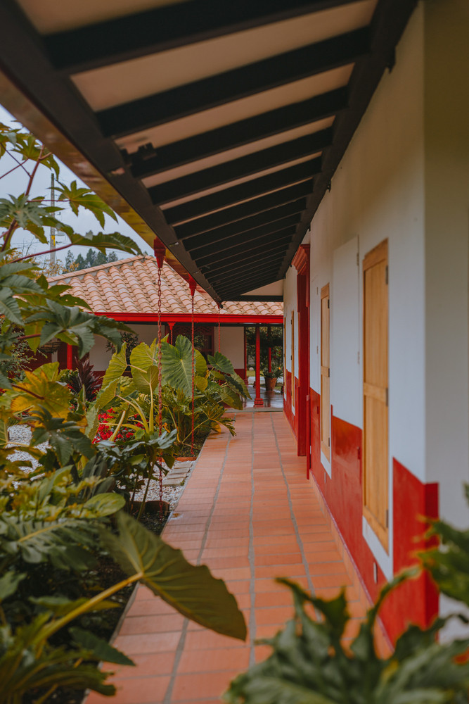 Cấu trúc ngôi nhà mới là một "bản sao" hiện đại của ngôi nhà cũ, được điều chỉnh để phù hợp với nhu cầu sinh hoạt lý tưởng hiện đại của gia chủ. Cấu trúc ngôi nhà mới là một "bản sao" hiện đại của ngôi nhà cũ, được điều chỉnh để phù hợp với nhu cầu sinh hoạt lý tưởng hiện đại của gia chủ.