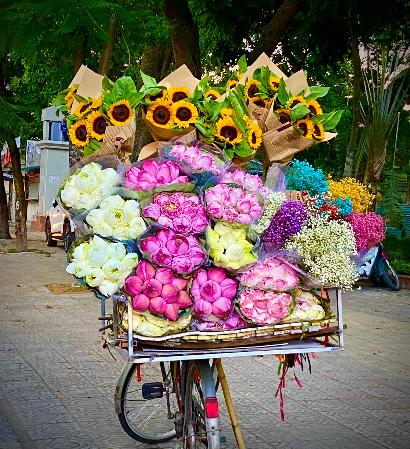 Những bông sen nhiều cánh đang vào mùa "chuộng" của những người Hà thành nên không có một xe hàng rong nào thiếu loại hoa này. Những bông sen nhiều cánh đang vào mùa "chuộng" của những người Hà thành nên không có một xe hàng rong nào thiếu loại hoa này.