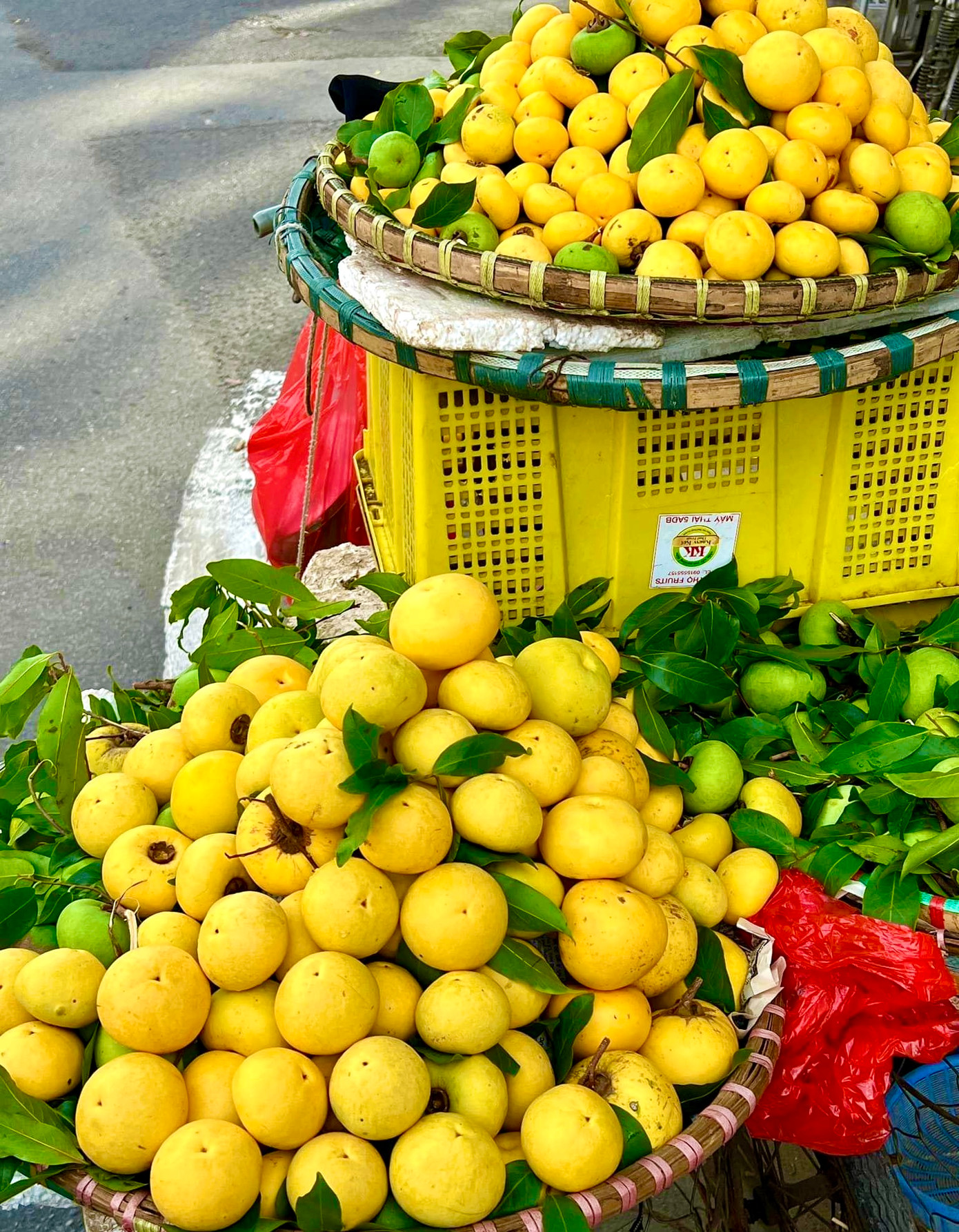 Những quả thị vào mùa "xúng xính" áo vàng, vỏ căng mướt và tỏa hương thơm.