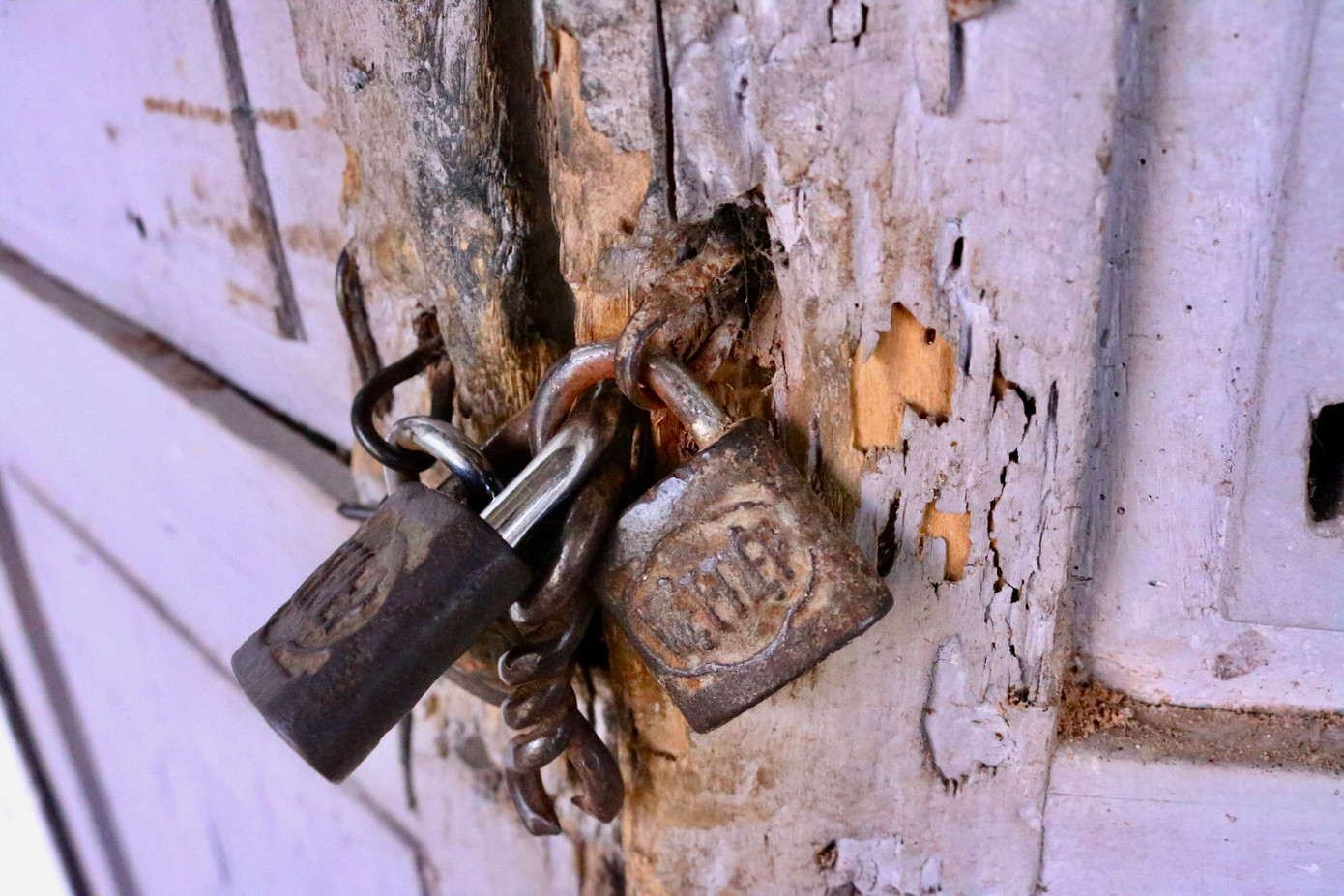 Cửa nhiều nhà đã mục nát. Bà Đỗ Thị Liên cho biết, tại đây đã có rất nhiều vụ mất trộm. Người dân đi làm về mệt ngủ thiếp đi cái là trộm lẻn vào dắt xe, bắt trộm vật nuôi và lấy đi cả đồ dùng trong nhà.