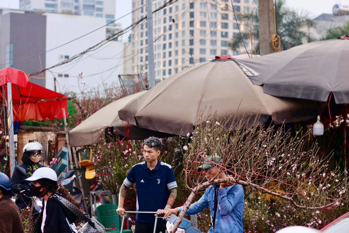 Những cành hoa tiền triệu vẫn được "chốt đơn" mặc dù còn 1 tháng nữa mới đến tết.