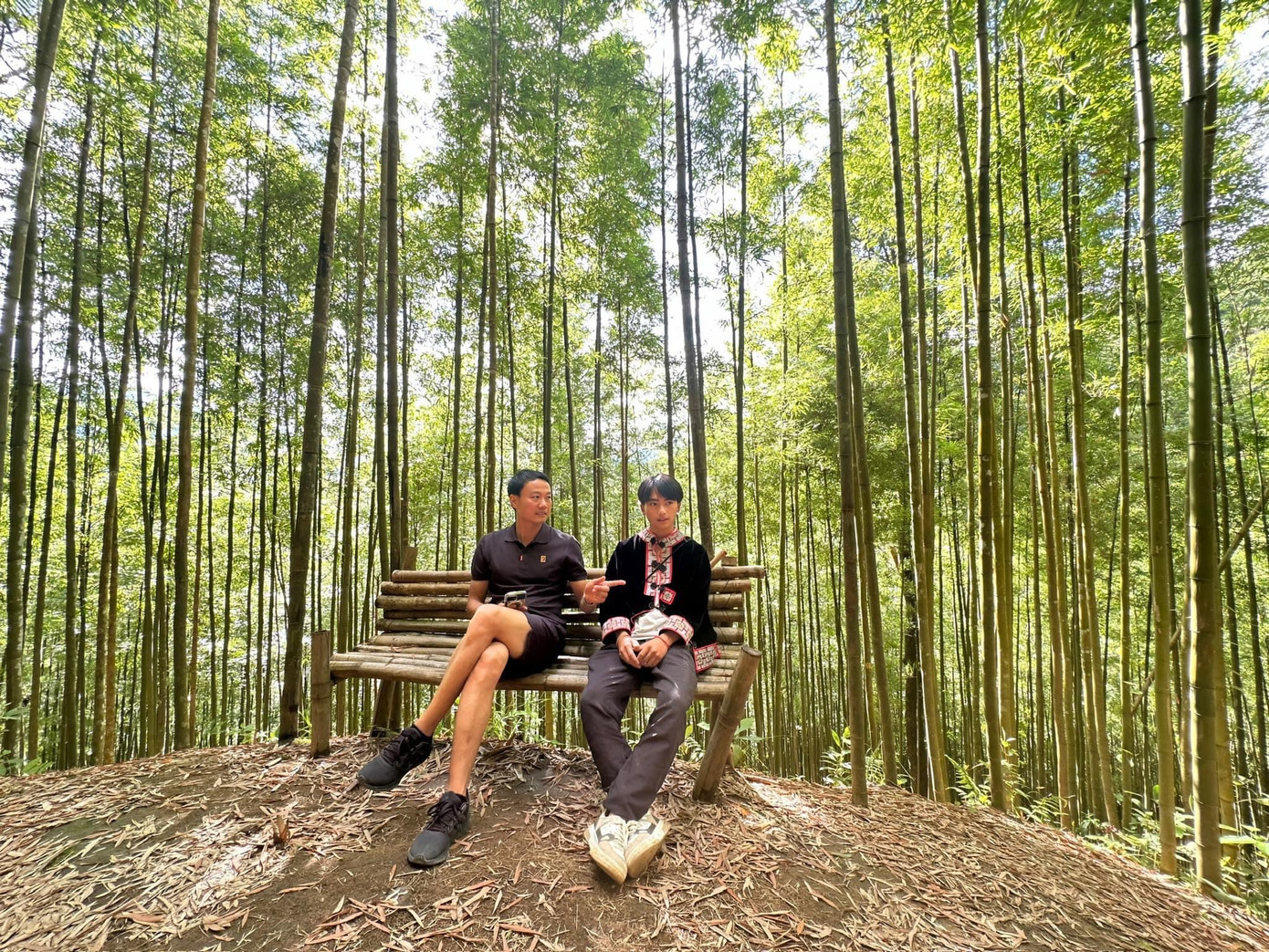 Theo anh Mùa A Giàng - hướng dẫn viên du lịch tại địa phương, những cây trúc ở đây được trồng từ hơn 80 năm trước. Ban đầu được trồng để làm nhà, rào tường, làm máng nước... phục vụ cho nhu cầu ăn ở, sinh hoạt của người dân địa phương.