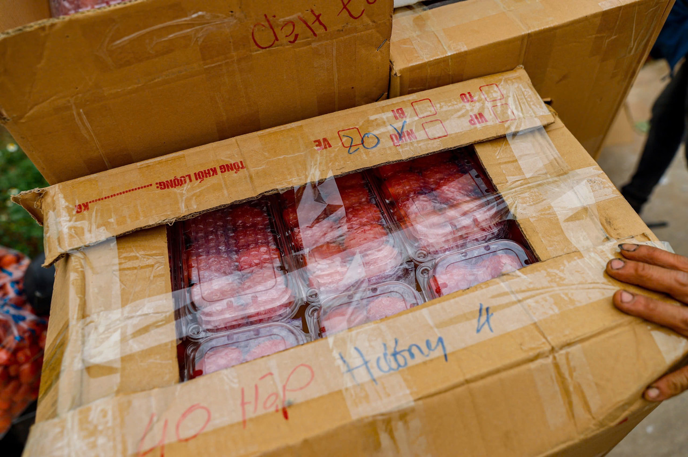 Hiện tại, giá nhập từ các thương lái vẫn duy trì ở mức cao. Giá bán buôn loại 1 giá 35.000 - 40.000 đồng/kg, loại 2 giá 25.000 - 30.000 đồng/kg.