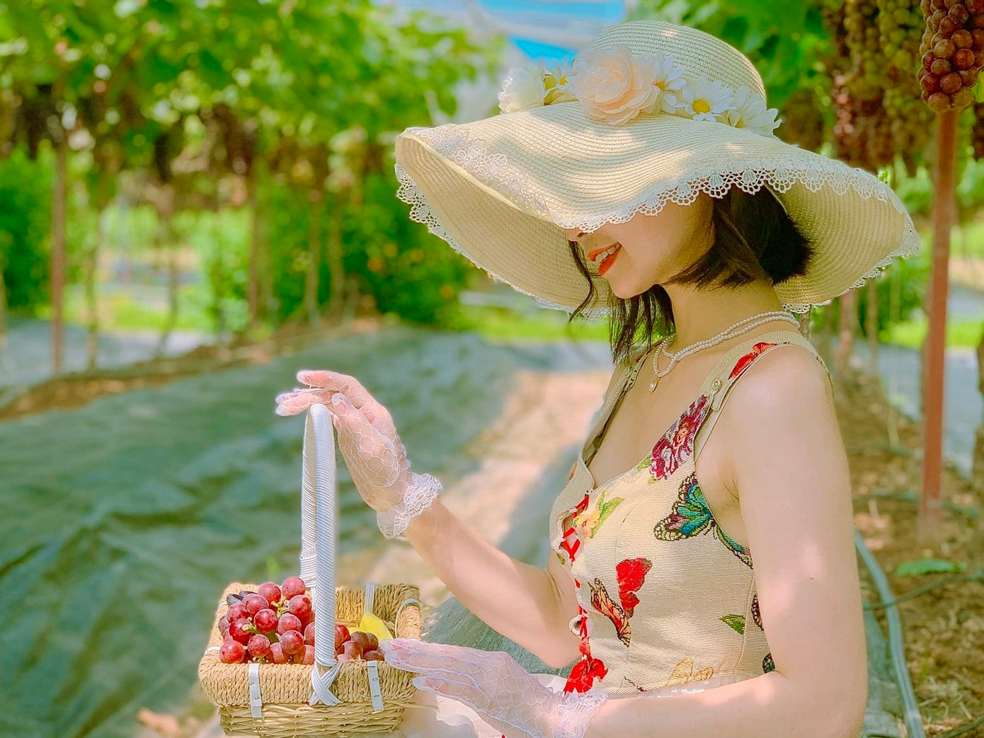 Bạn Minh Anh (Cầu Giấy) chia sẻ: &quot;Bình thường cuối tuần tôi sẽ cùng các bạn tìm quán cà phê có cảnh đẹp để ngồi thư giãn cũng như chụp hình sống ảo nhưng mới đây lướt mạng tình cờ tôi biết có mô hình vườn nho cho vào chụp ảnh nên chúng tôi đã lên kế hoạch từ một tuần trước. Nơi đây không làm chúng tôi thất vọng, chùm nào cũng sai trĩu quả, nhìn đã thấy thích mắt rồi&quot;.