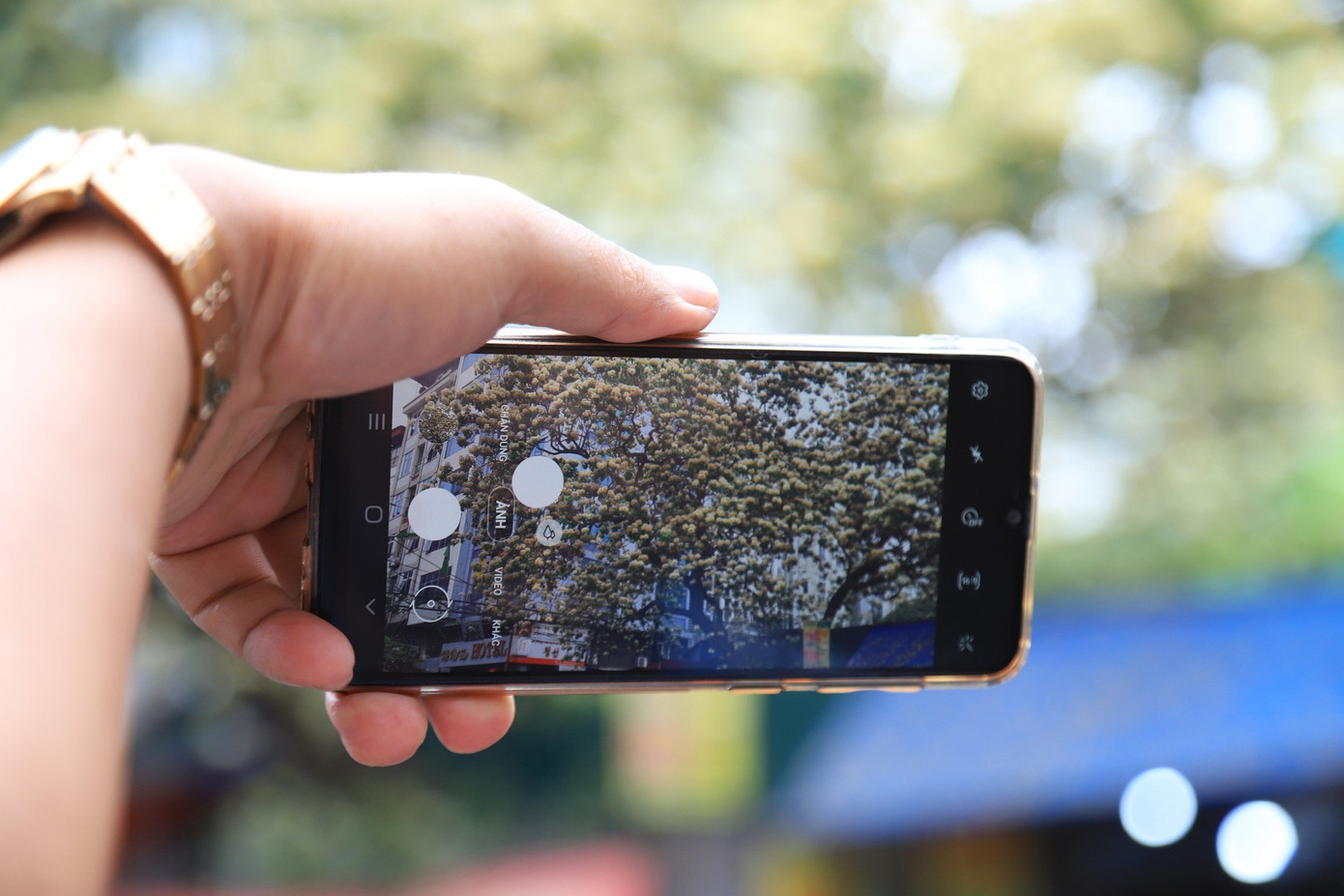 Thời điểm hoa bún nở rộ thu hút nhiều người dân đến check in.