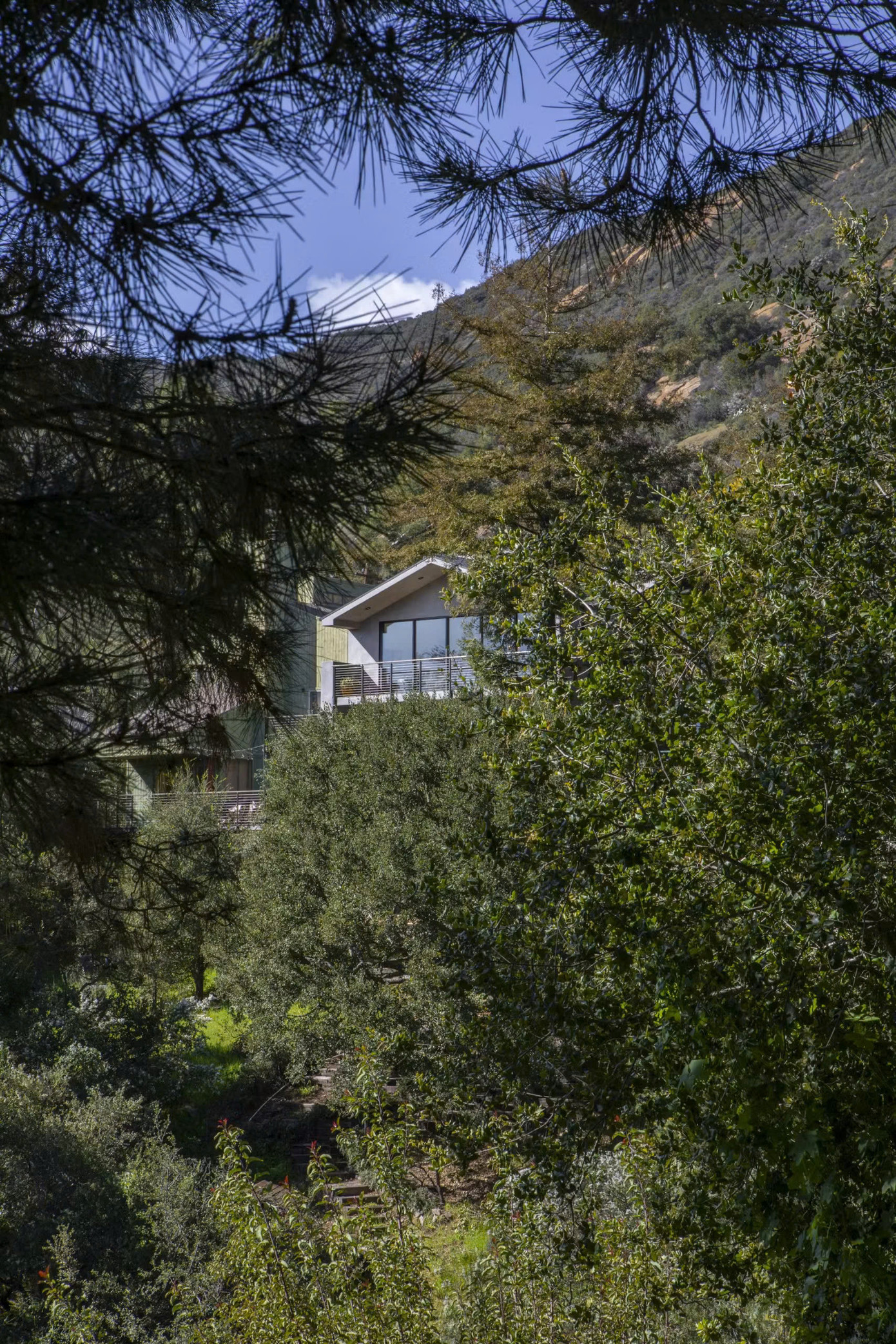 Ngôi nhà nằm ẩn mình giữa thiên nhiên núi rừng Topanga, California.