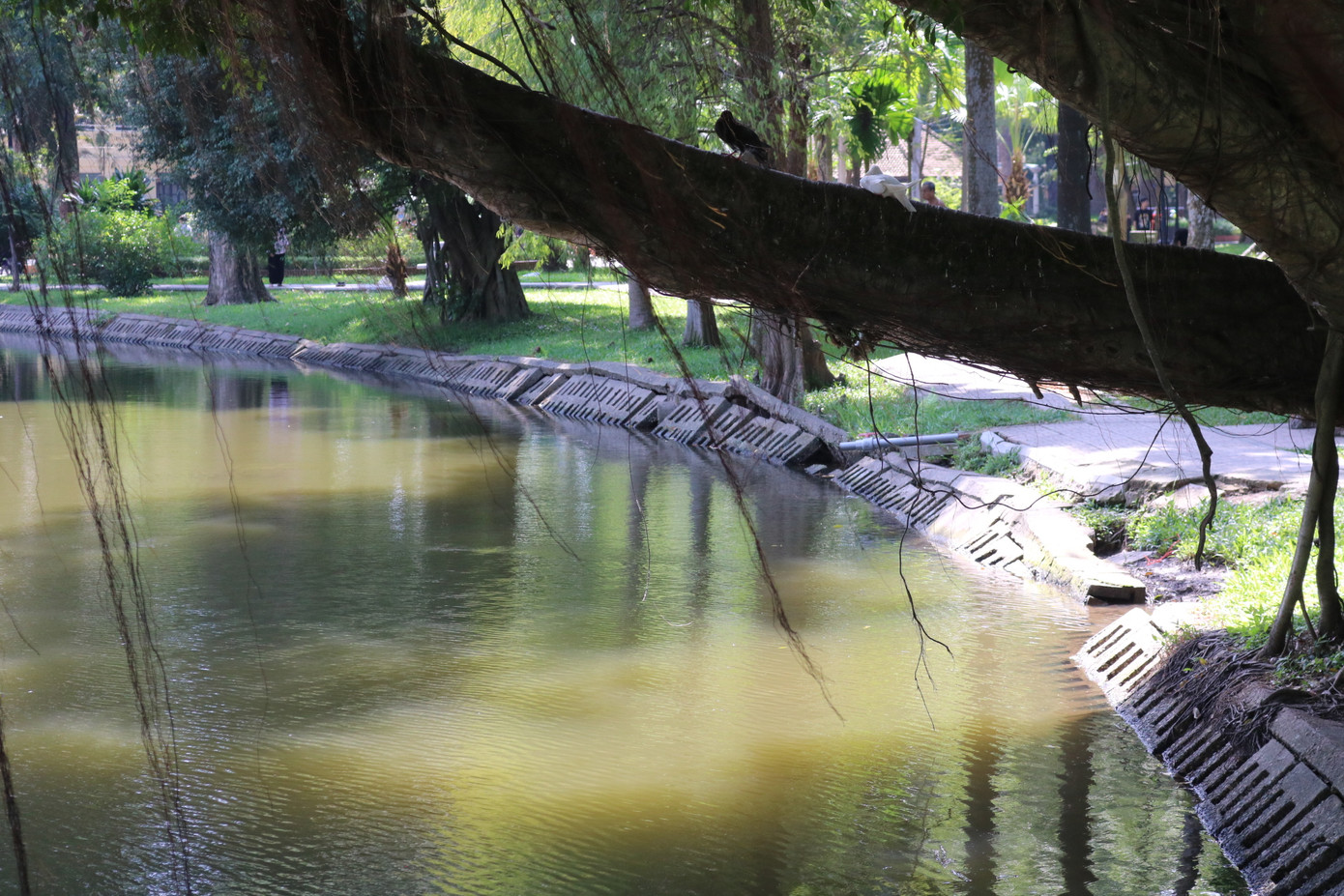 Phần đất ven bờ hồ có phần sụt lún, những phiến gạch lát bờ hồ trồi sụt vừa gây mất mỹ quan vừa không đảm bảo an toàn được cho người dân khi đi dạo trong khuôn viên Phần đất ven bờ hồ có phần sụt lún, những phiến gạch lát bờ hồ trồi sụt vừa gây mất mỹ quan vừa không đảm bảo an toàn được cho người dân khi đi dạo trong khuôn viên