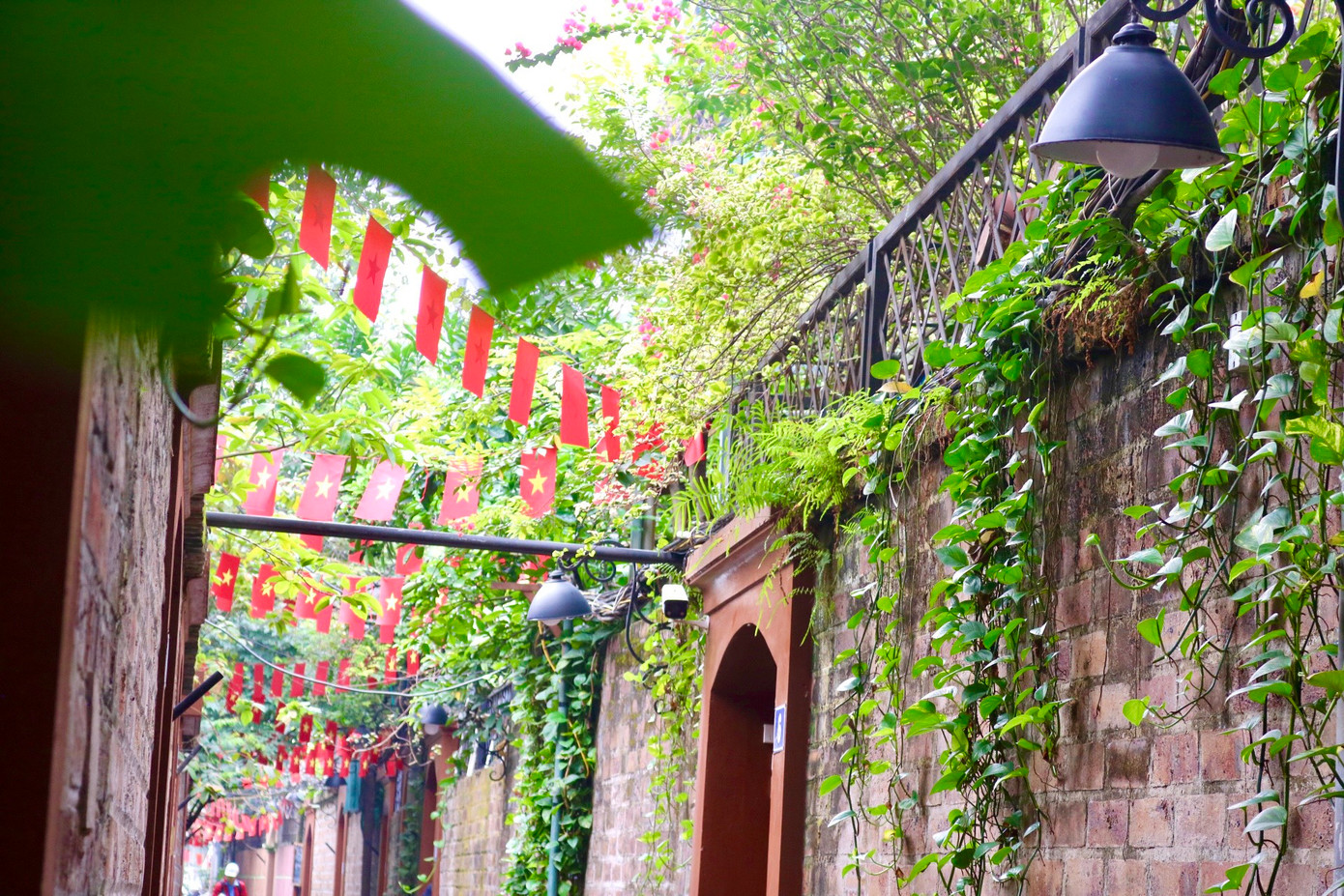 Các tường gạch đa phần để trần không trát vữa, điểm xuyết bằng dây leo. Tất cả tạo nên lối kiến trúc mộc mạc cho con ngõ nhỏ.