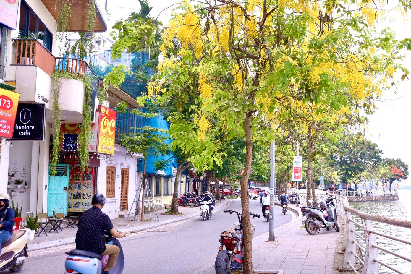 Hoa muồng hoàng yến còn có nhiều tên gọi khác là hoa bọ cạp vàng, muồng hoàng hậu, hoa lồng đèn, bò cạp nước, mai dây, cây xuân muộn... Hoa muồng hoàng yến còn có nhiều tên gọi khác là hoa bọ cạp vàng, muồng hoàng hậu, hoa lồng đèn, bò cạp nước, mai dây, cây xuân muộn...
