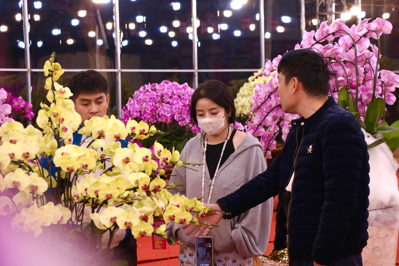 Thời điểm này, nhiều người đã bắt đầu đi chọn lan chơi tết. Thời điểm này, nhiều người đã bắt đầu đi chọn lan chơi tết.