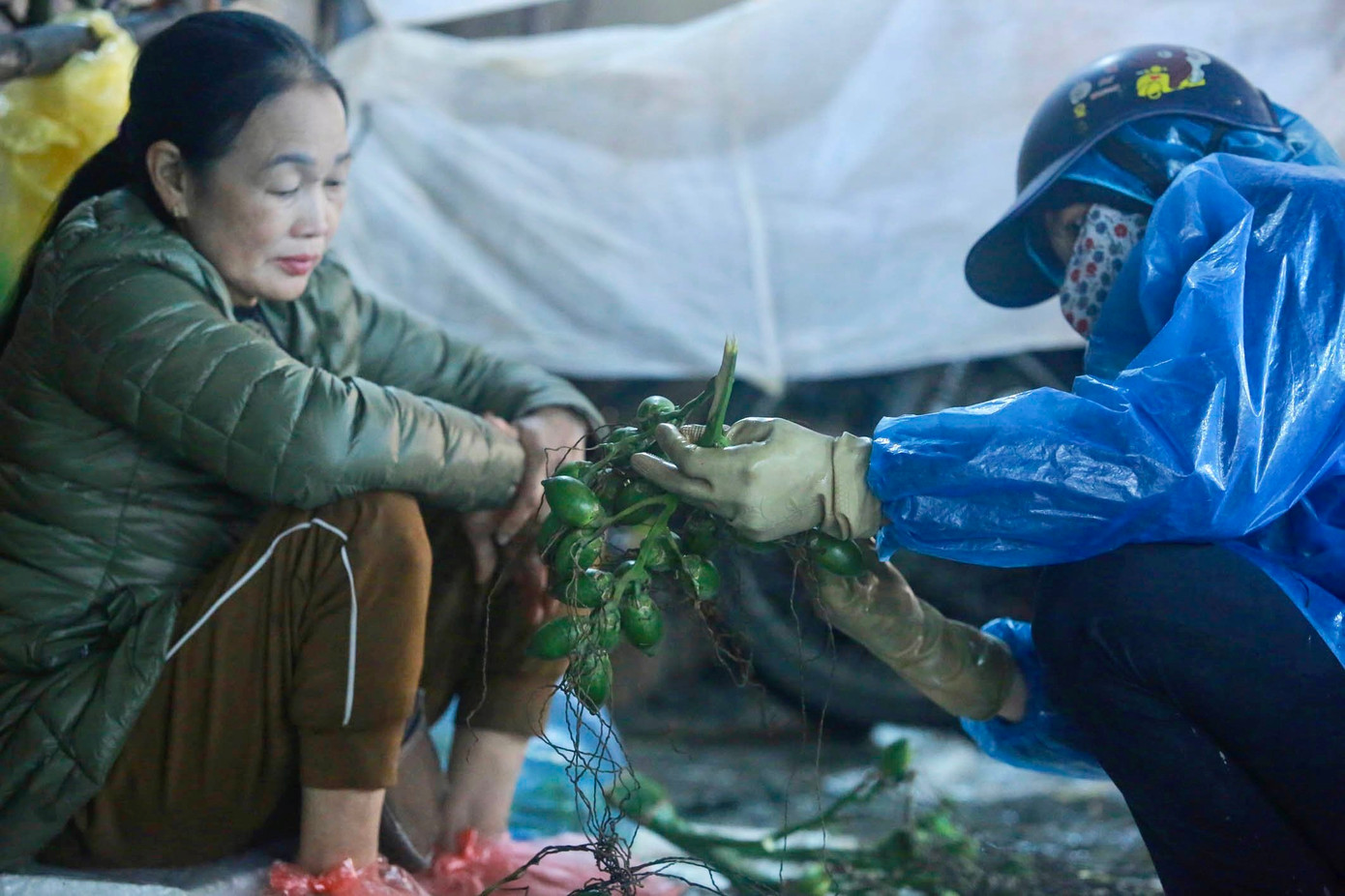 Trầu cau là vật phẩm không thể thiếu trong mâm lễ cúng.