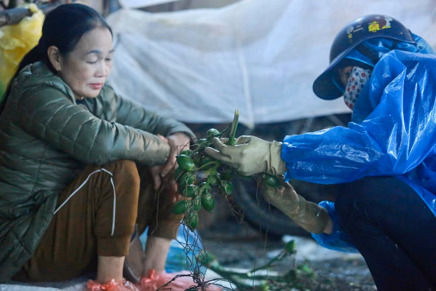 Trầu cau là vật phẩm không thể thiếu trong mâm lễ cúng. Trầu cau là vật phẩm không thể thiếu trong mâm lễ cúng.